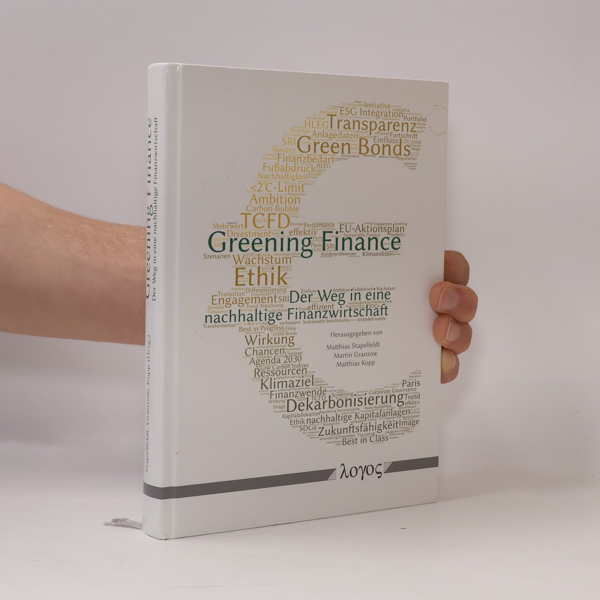 Matthias Stapelfeldt Greening Finance