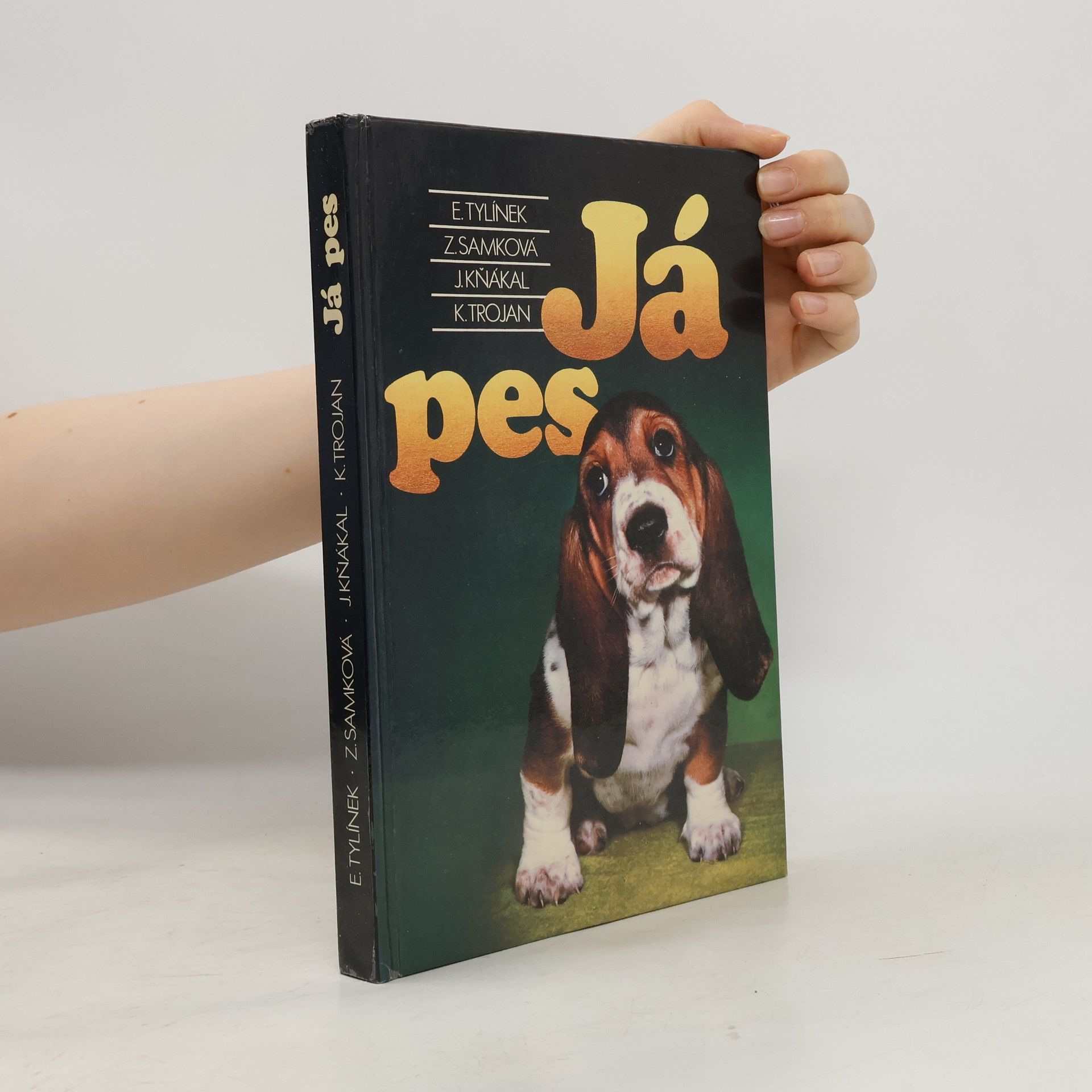 Já pes