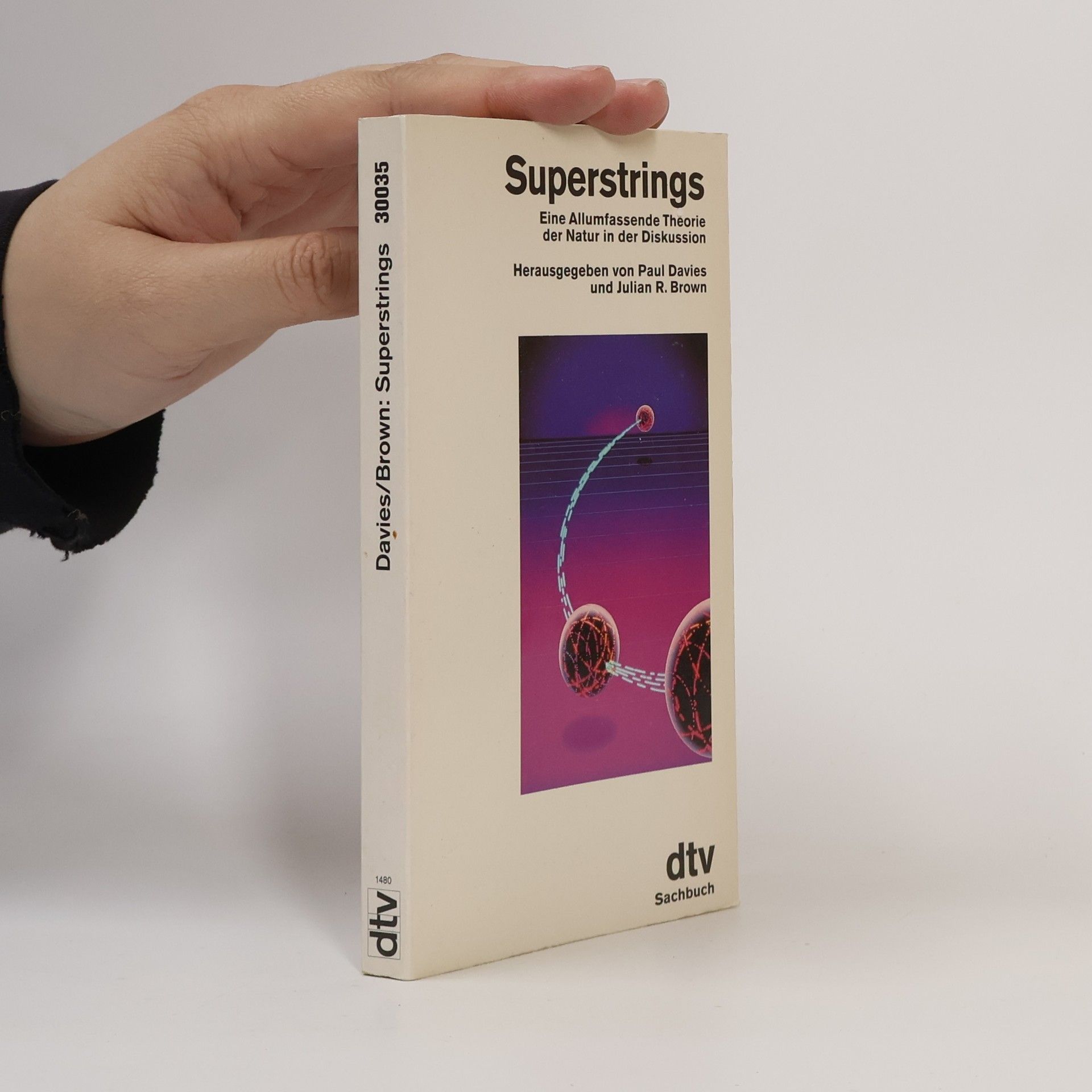 Paul Davies Superstrings