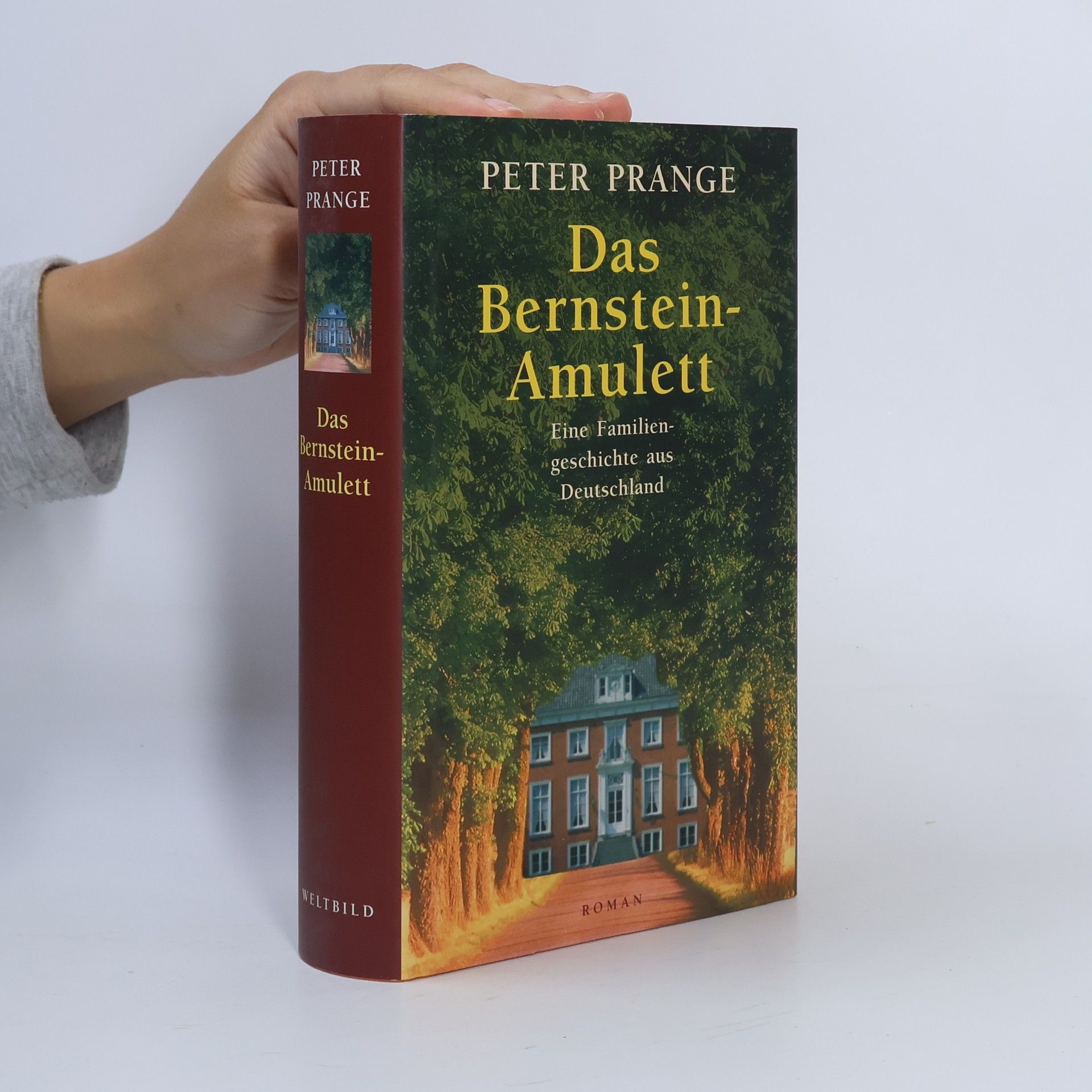 Peter Prange Das Bernstein-Amulett