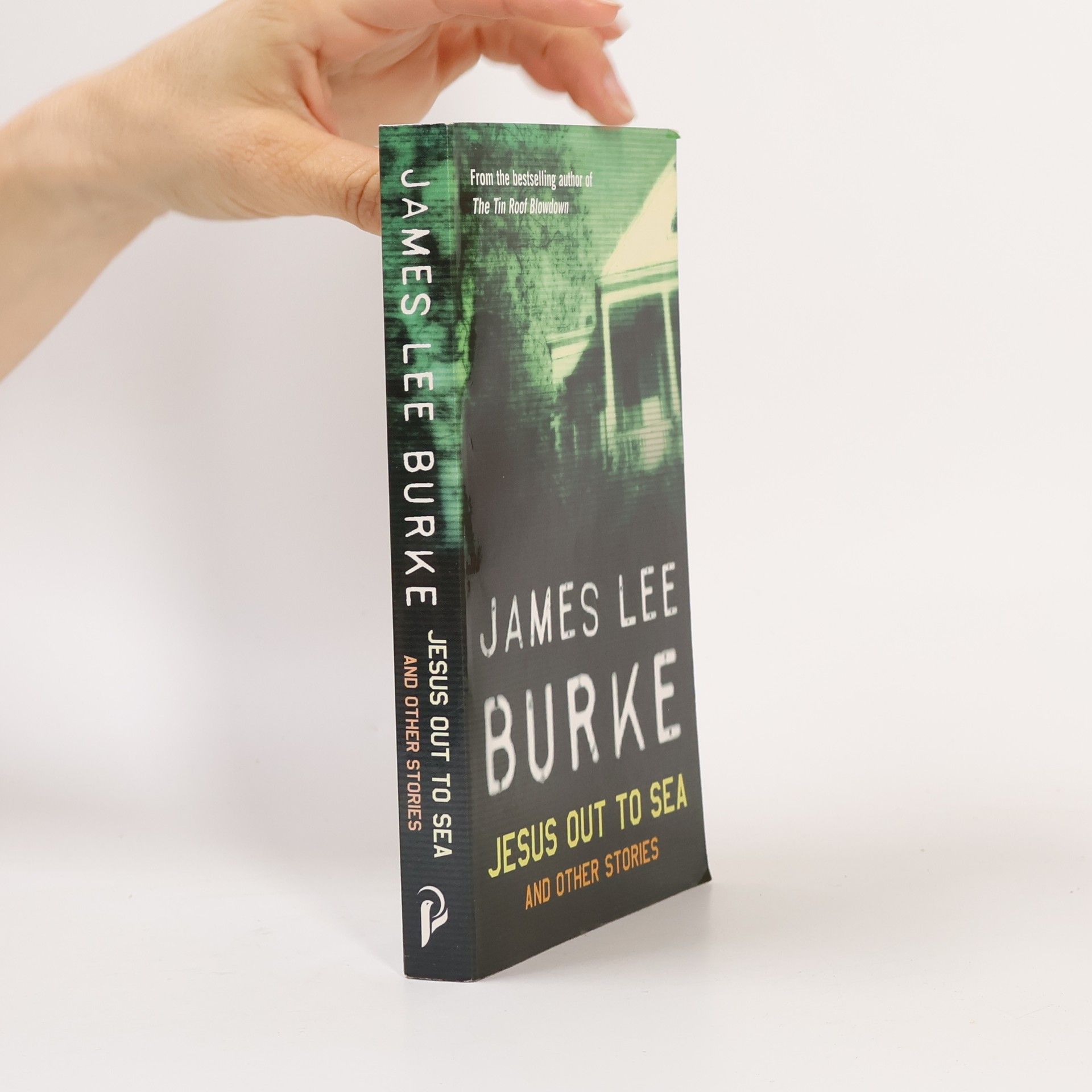 James Lee Burke Jesus Out to Sea