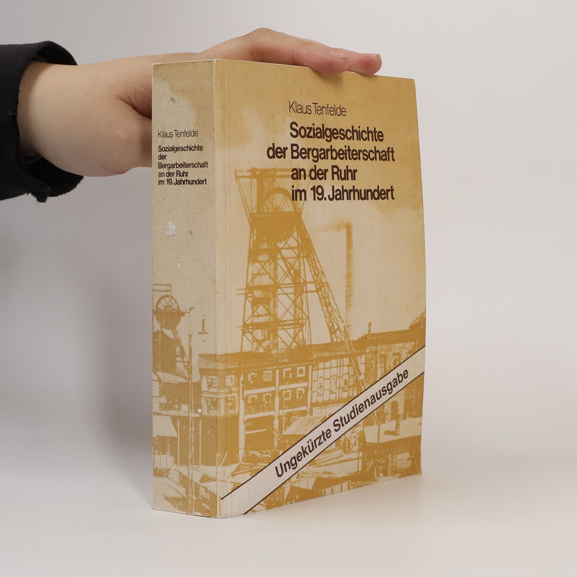 Sozialgeschichte der Bergarbeiterschaft an der Ruhr im 19. Jahrhundert