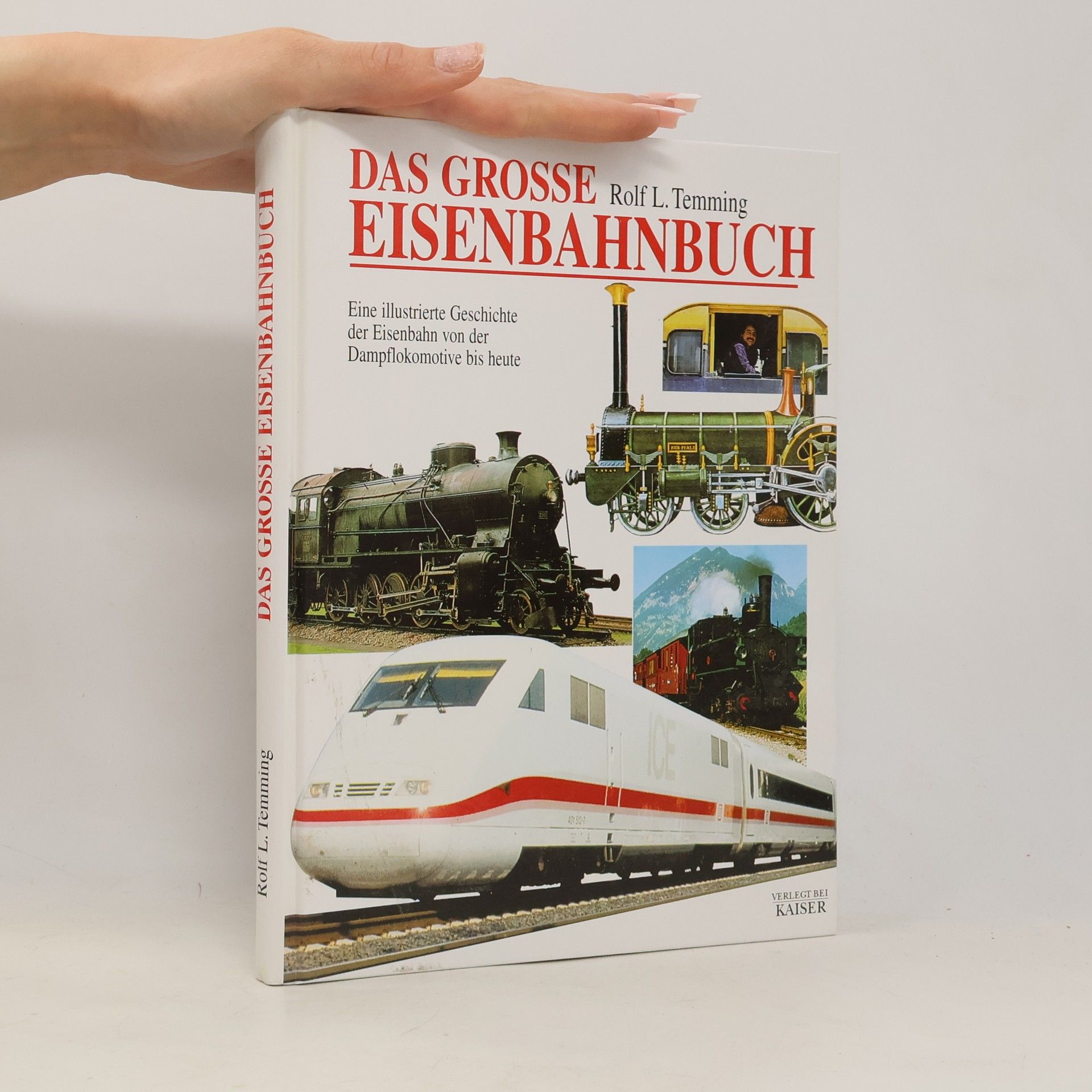 Das grosse Eisenbahnbuch