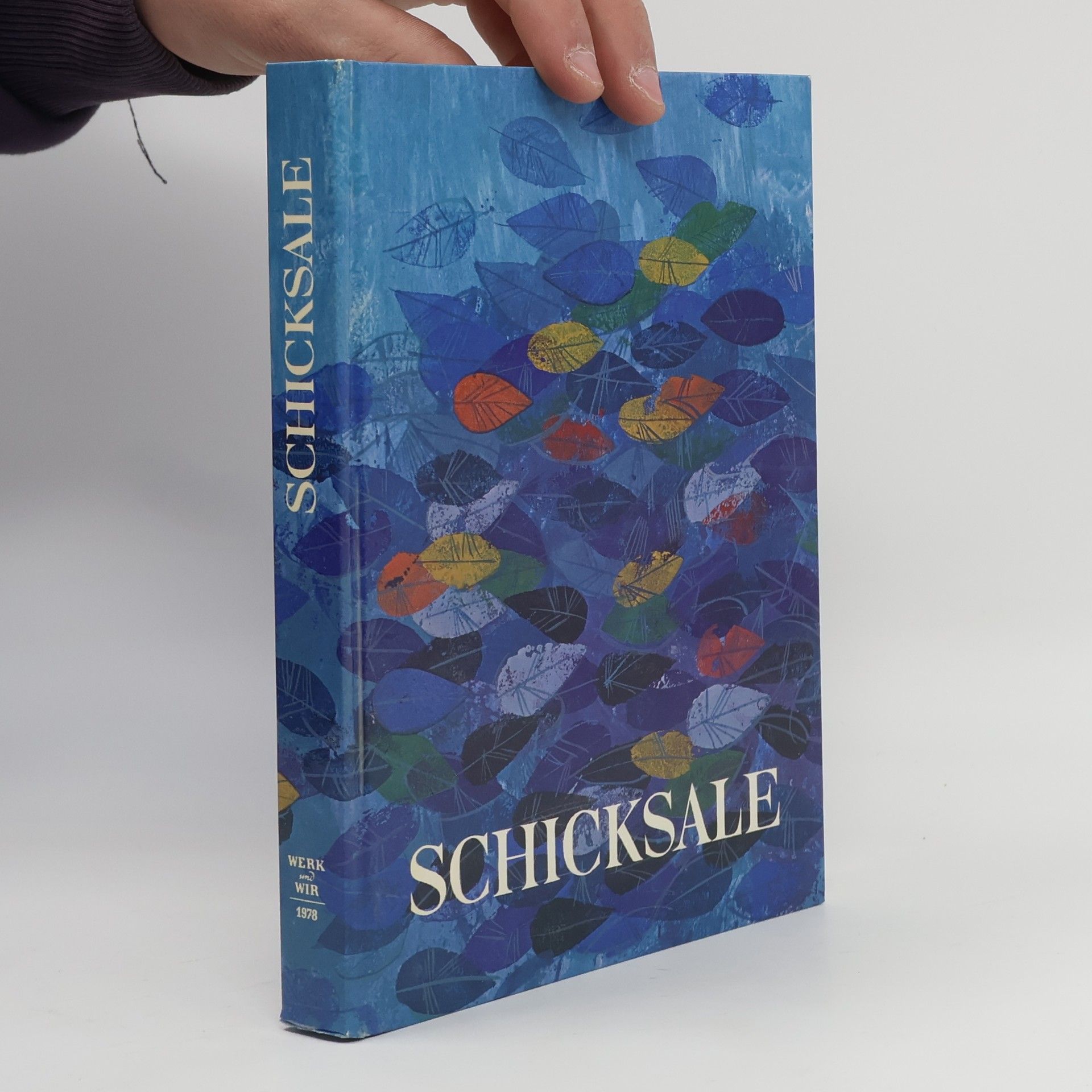 Autorenkollektiv Schicksale