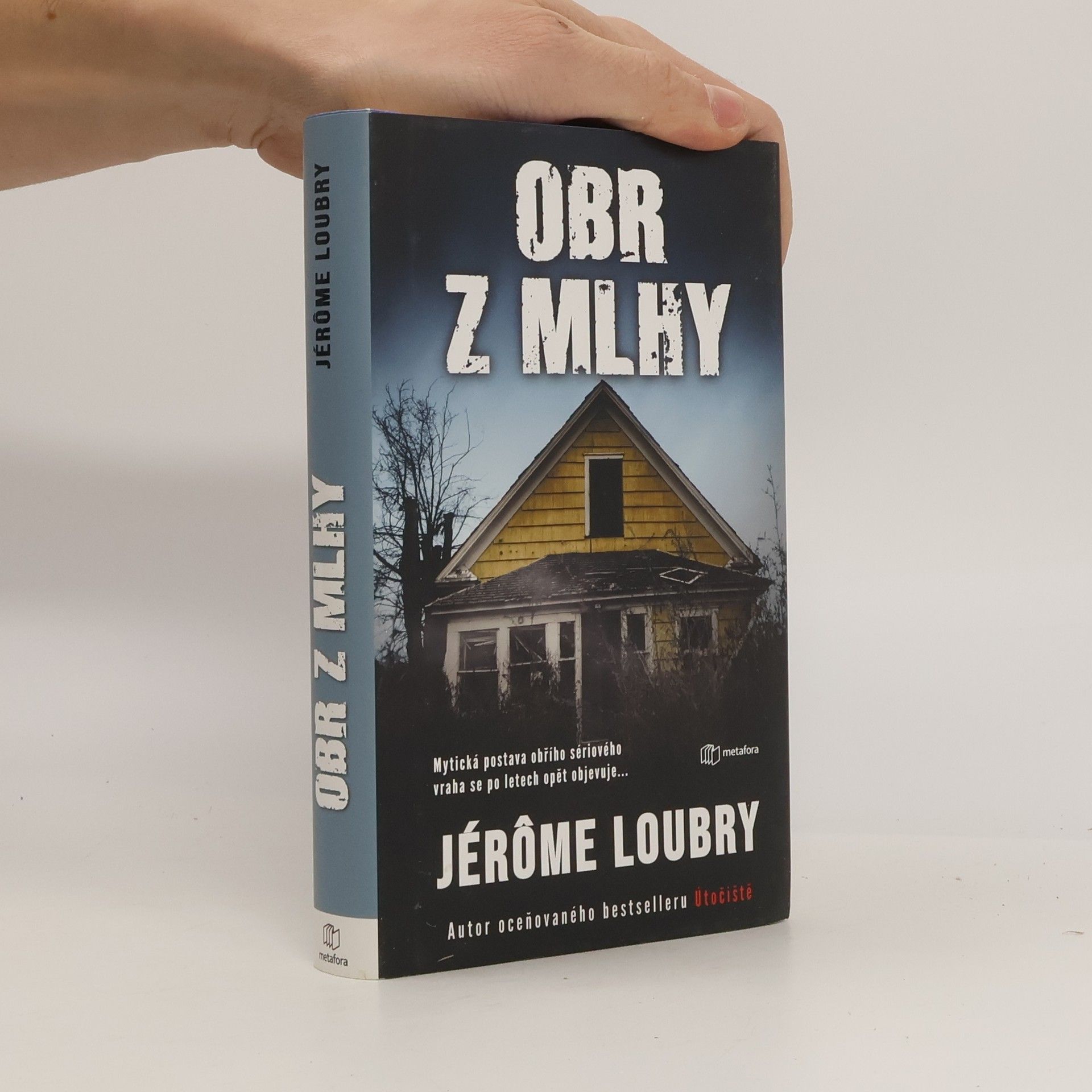 Jérôme Loubry Obr z mlhy