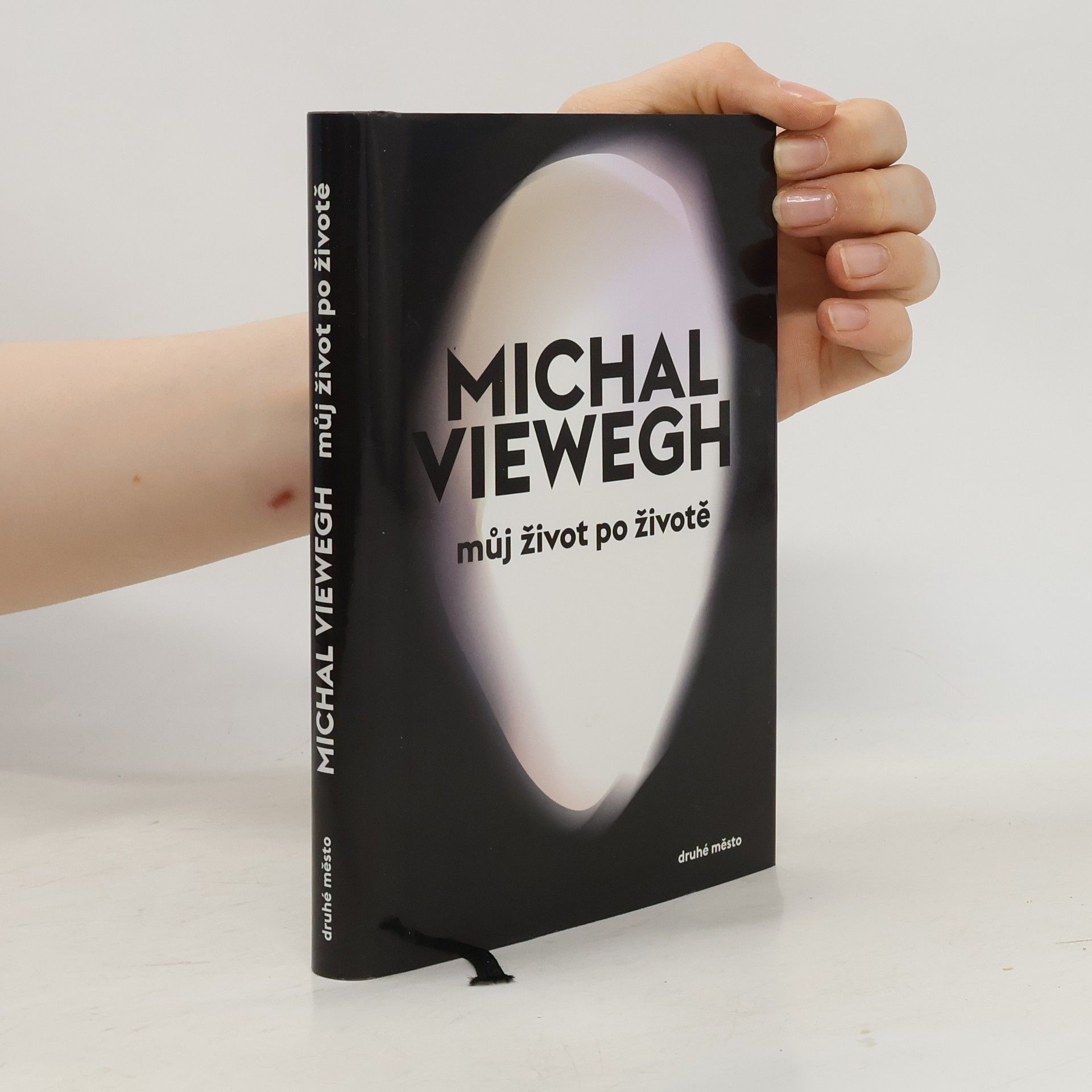 Michal Viewegh Můj život po životě