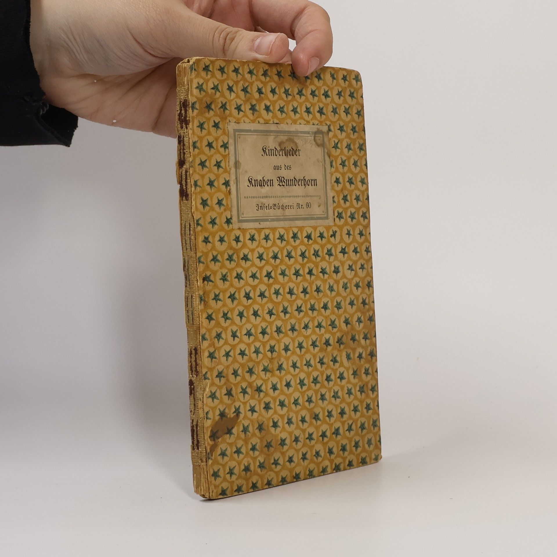 Kolektiv autorů Kinderlieder aus des Knaben Wunderhorn