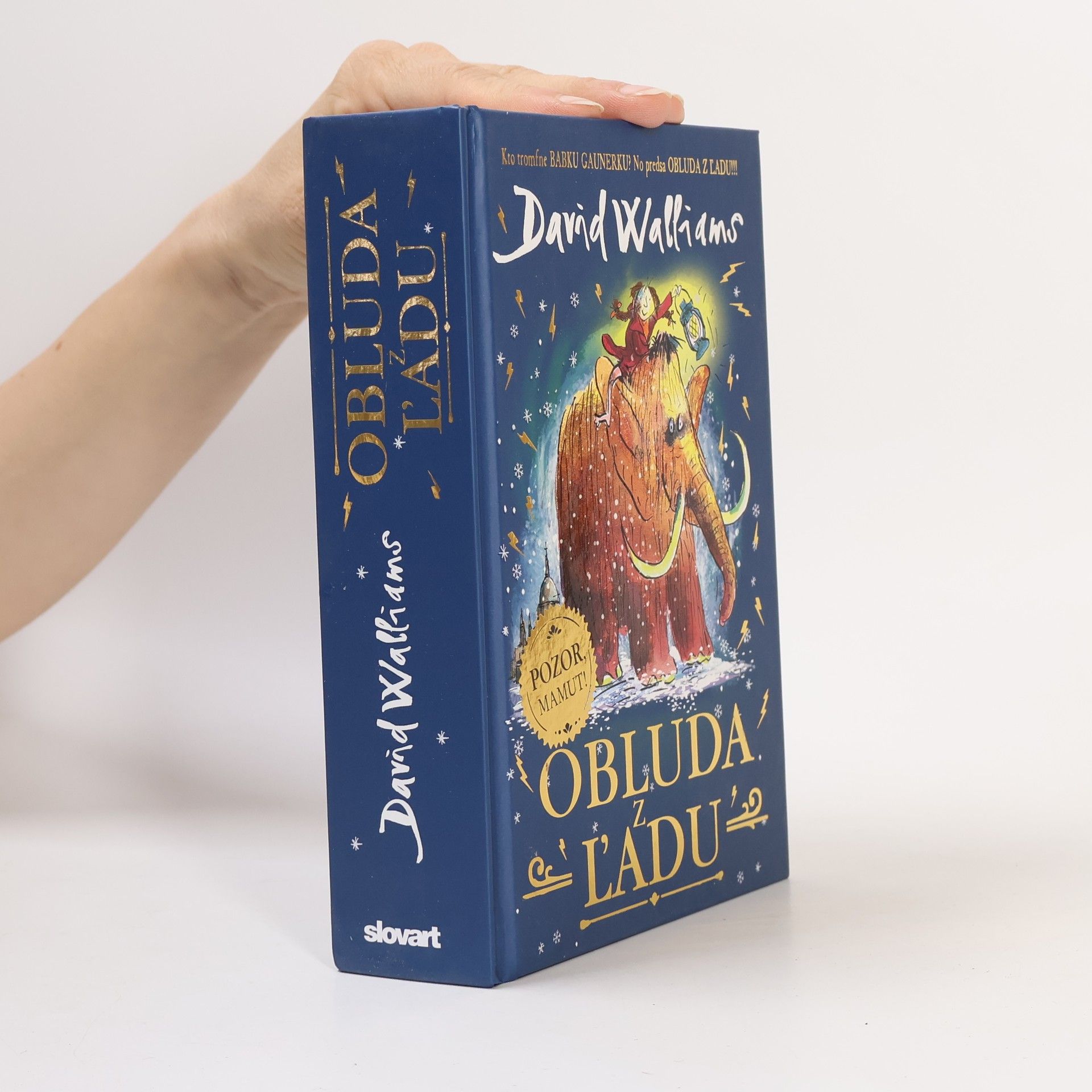 David Walliams Obluda z ľadu