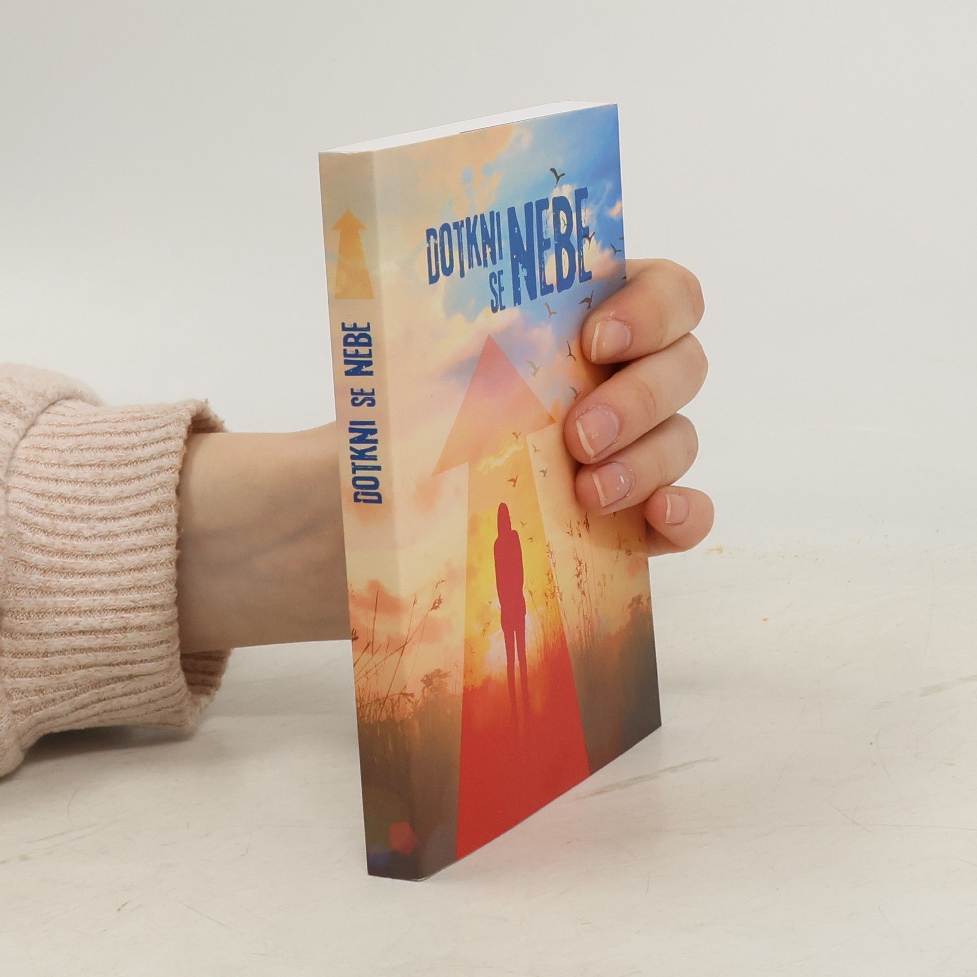 Annie Vallotton Slovo na cestu. Nový zákon s ilustracemi