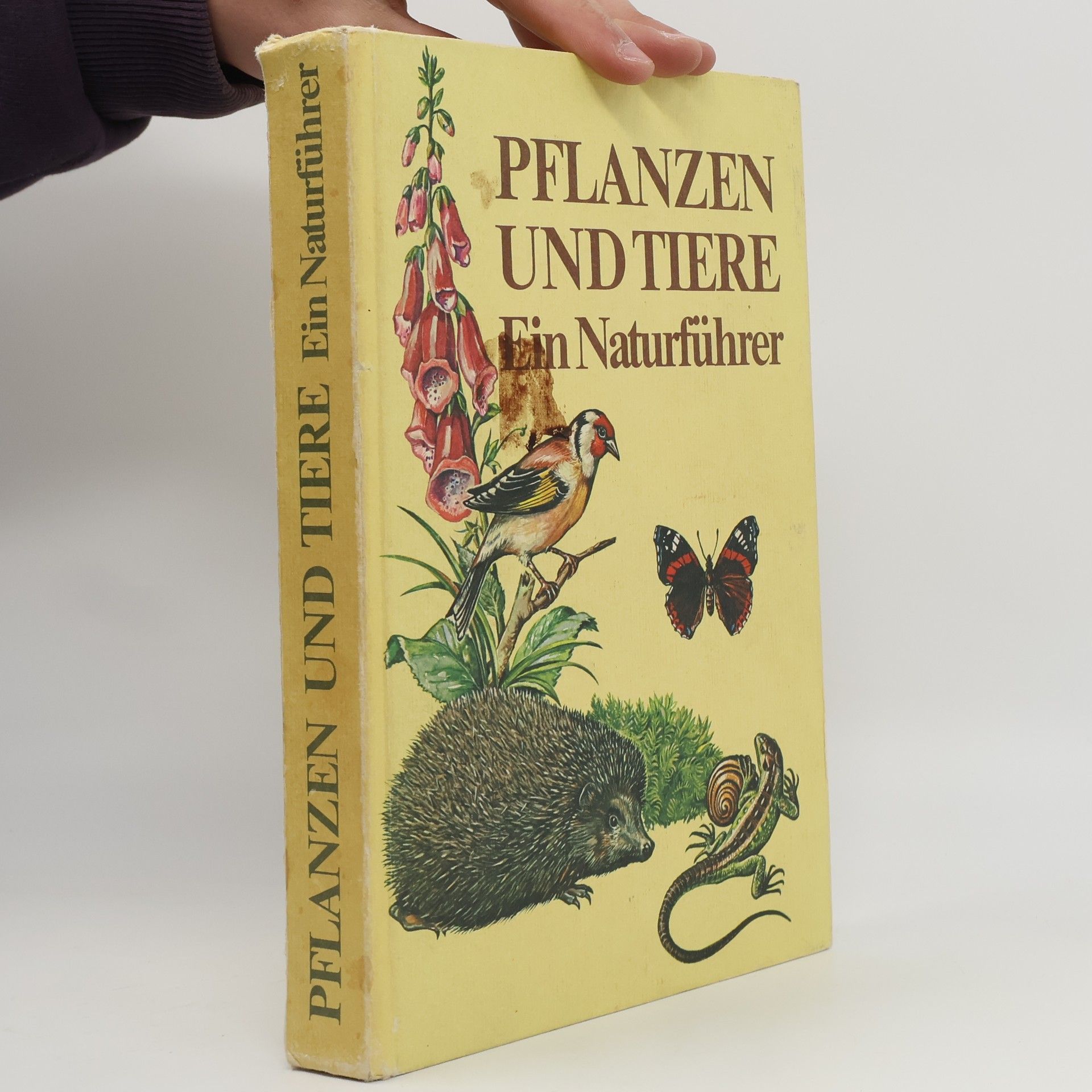 Autorenkollektiv Pflanzen und Tiere. Ein Naturführer