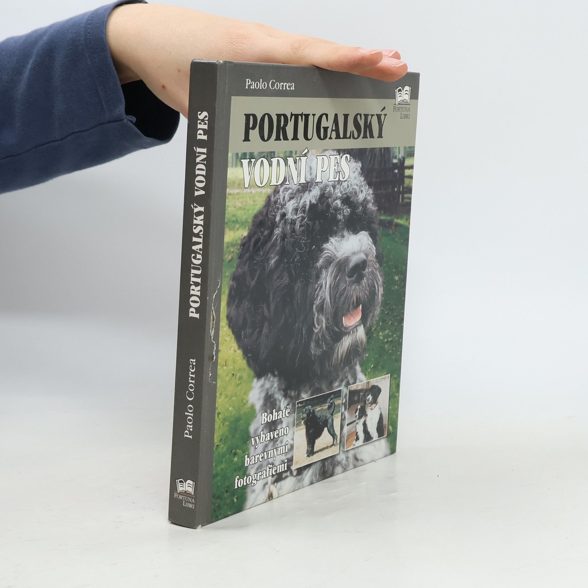 Paolo Correa Portugalský vodní pes