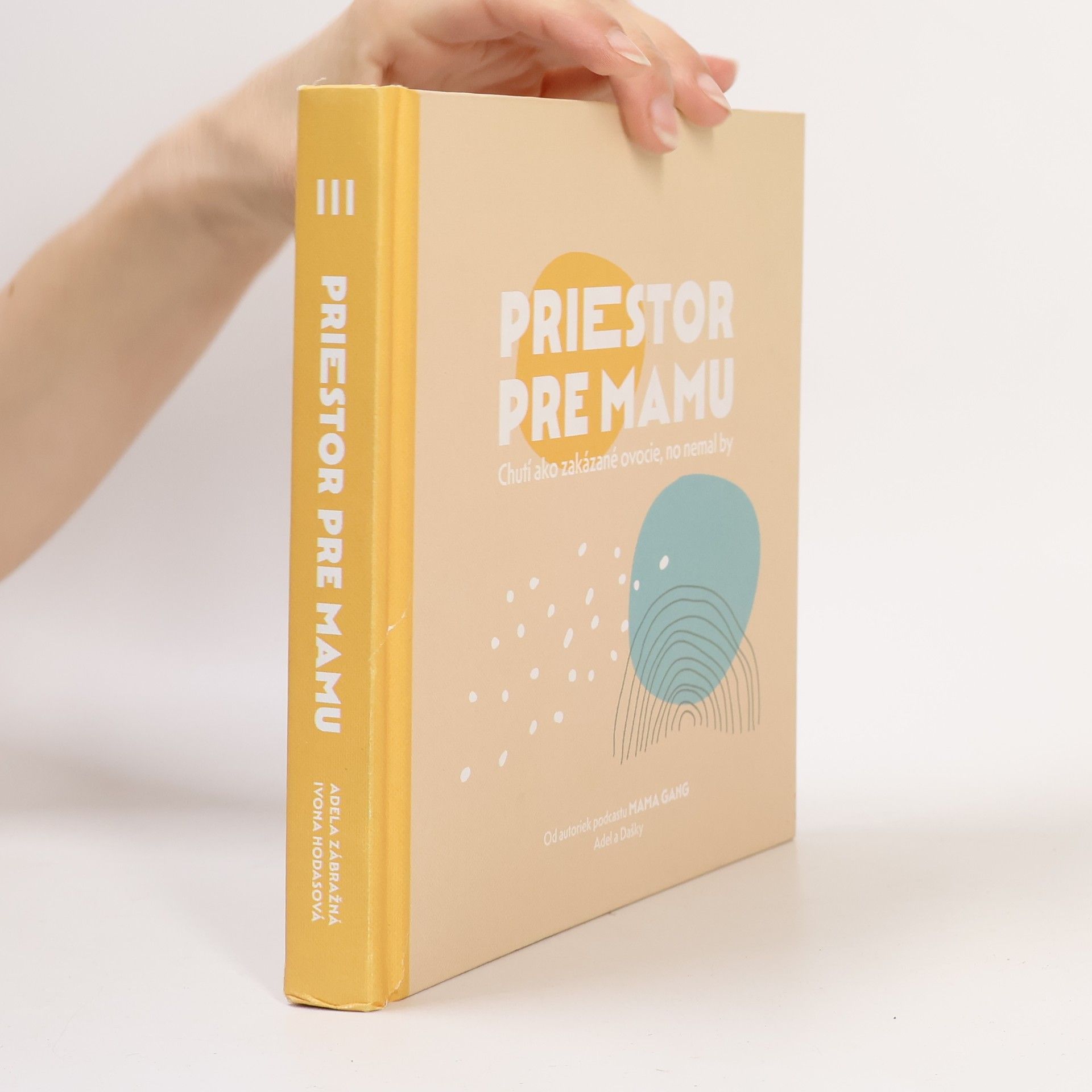 Adela Zábražná Priestor pre mamu