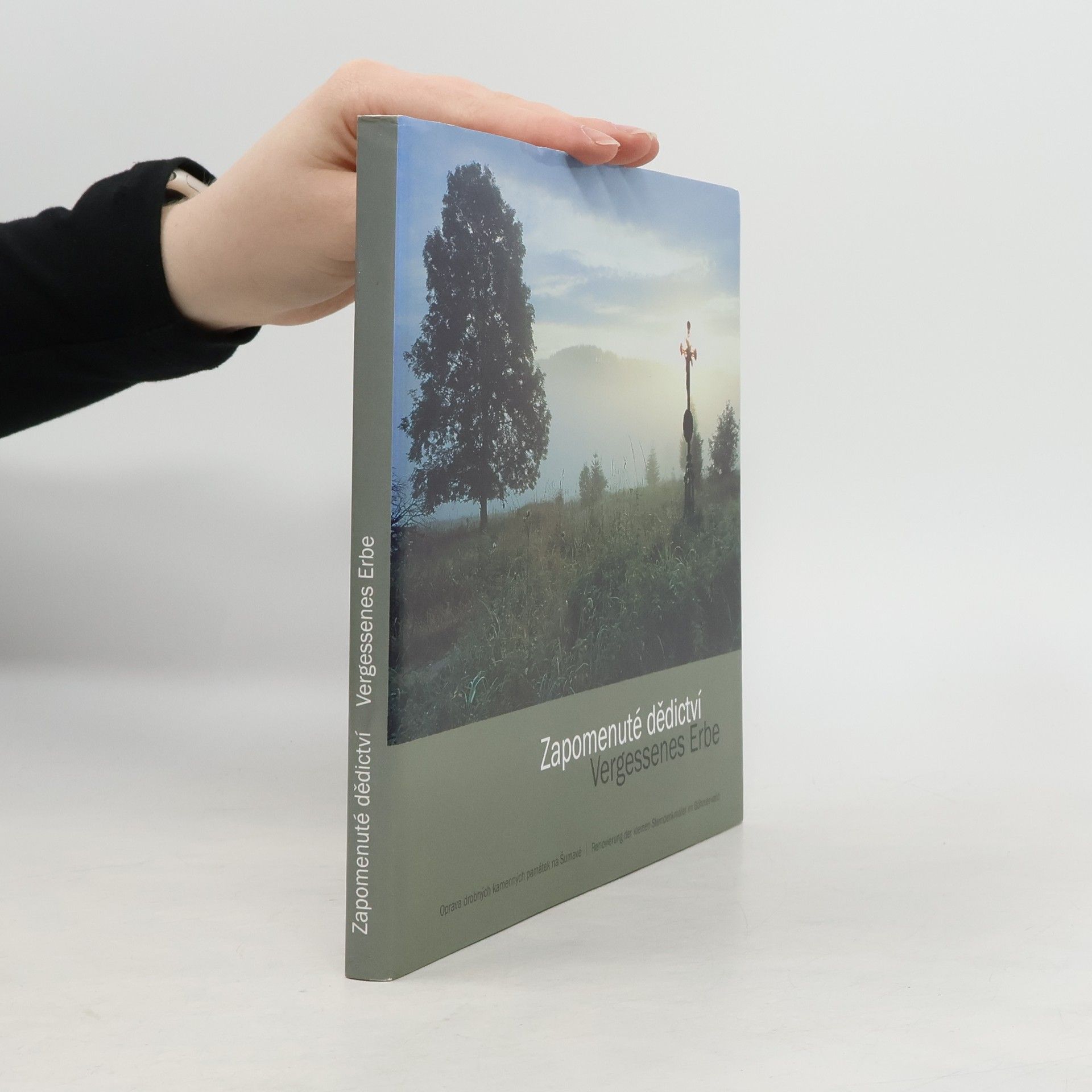 Zapomenuté dědictví : oprava drobných kamenných památek na Šumavě = Vergessenes Erbe : Renovierung der kleinen Steindenkmäler in Böhmerwald