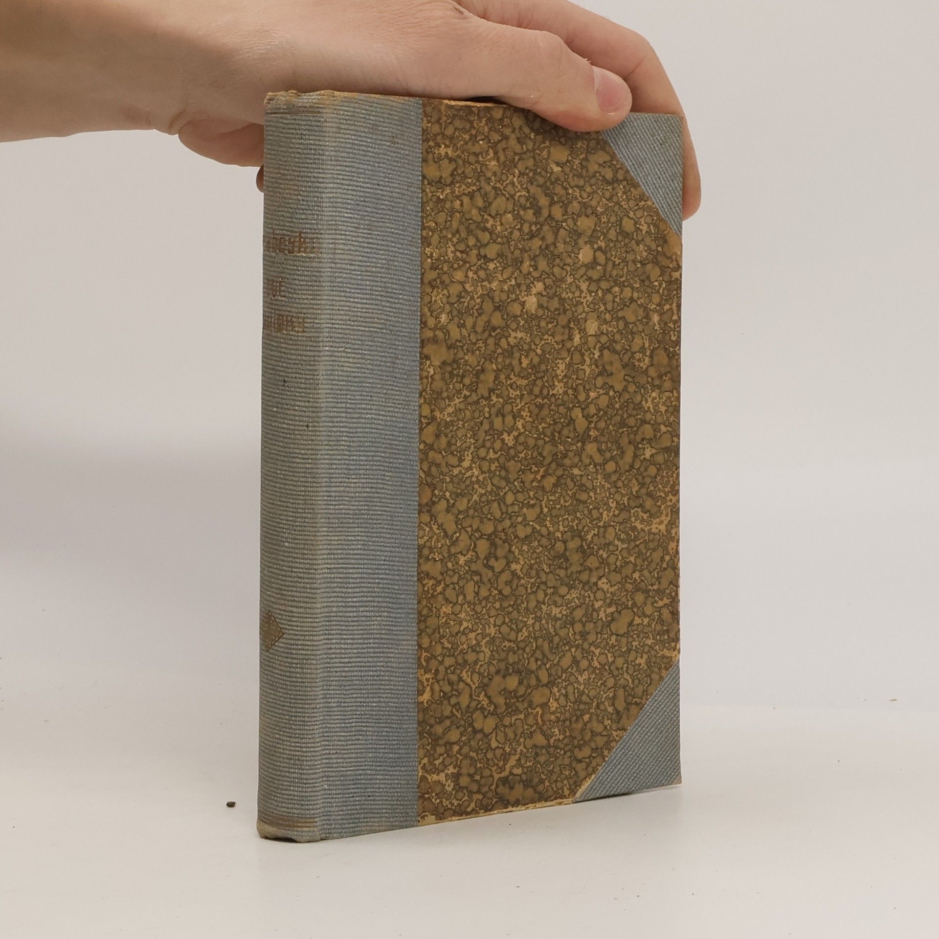 Zikmund Winter Historické arabesky