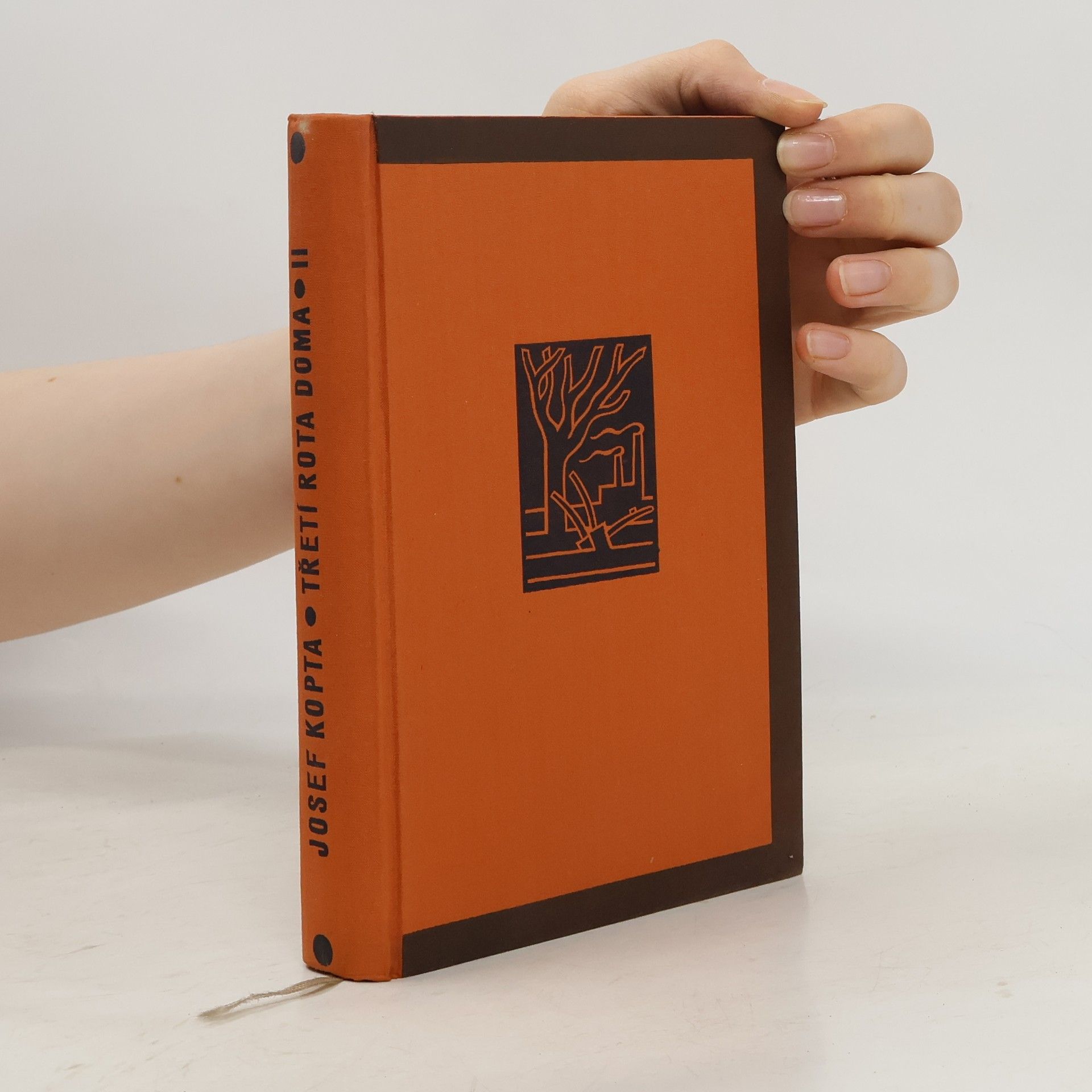 Třetí rota doma II