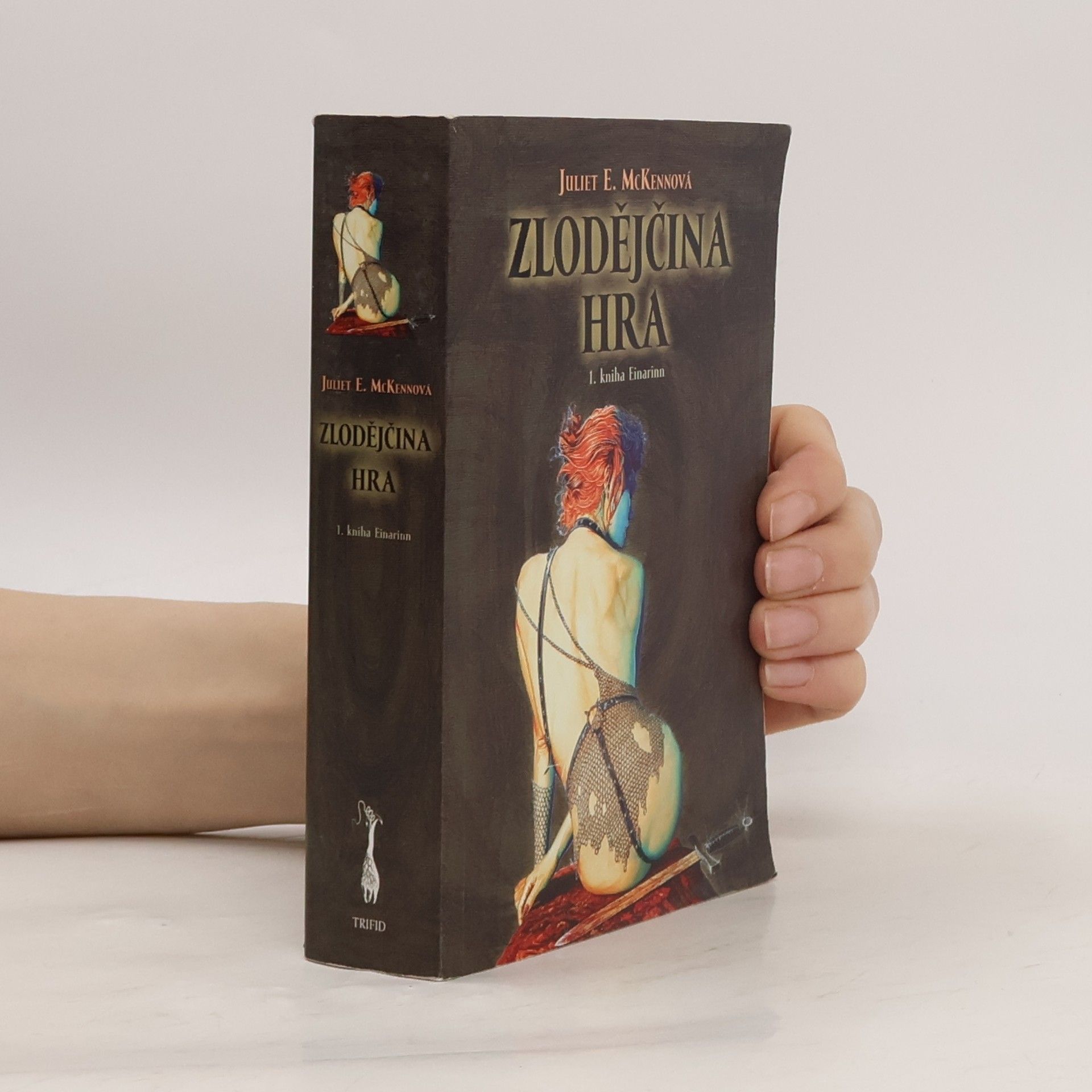 Juliet E. McKenna Zlodějčina hra