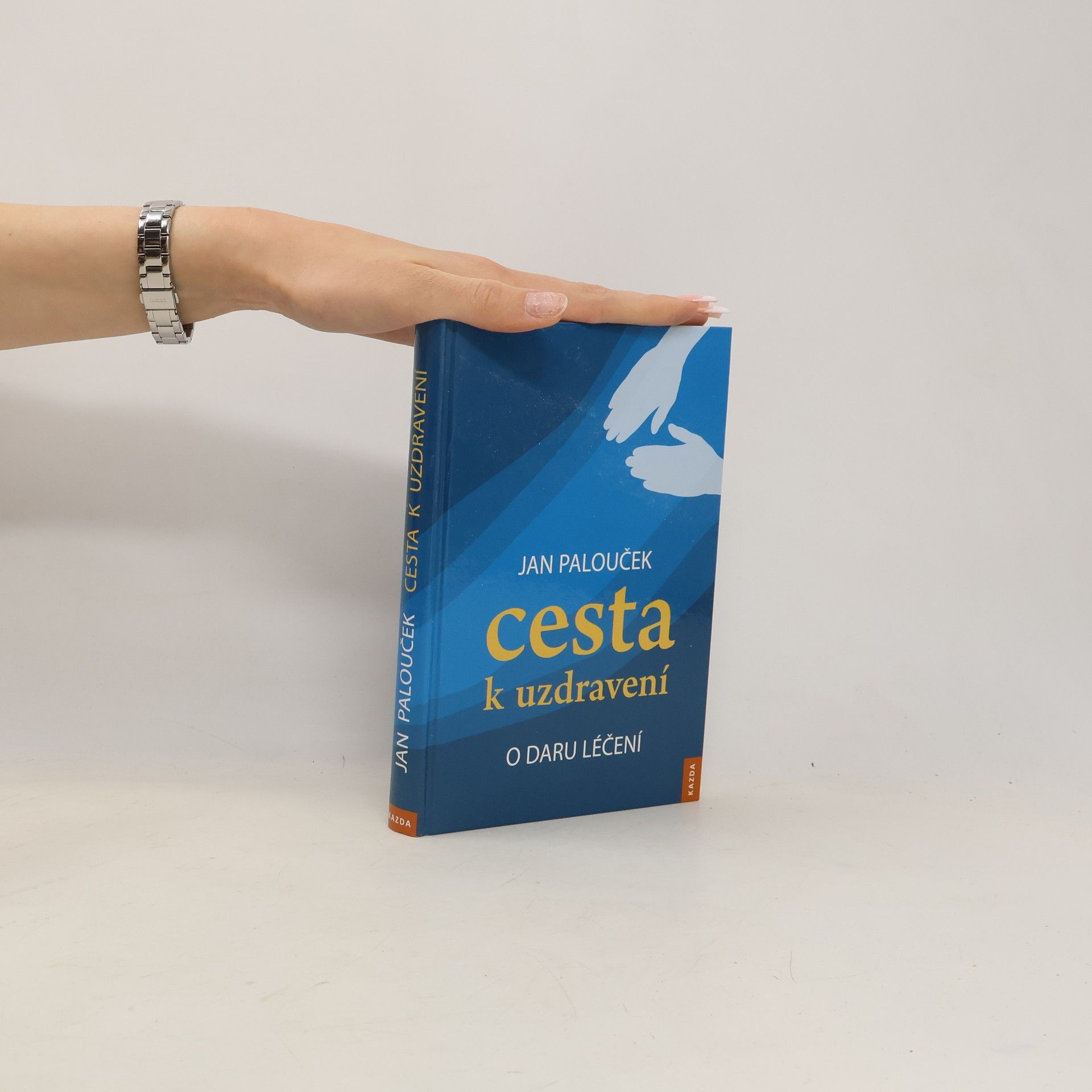 Jan Palouček Cesta k uzdravení. O daru léčení