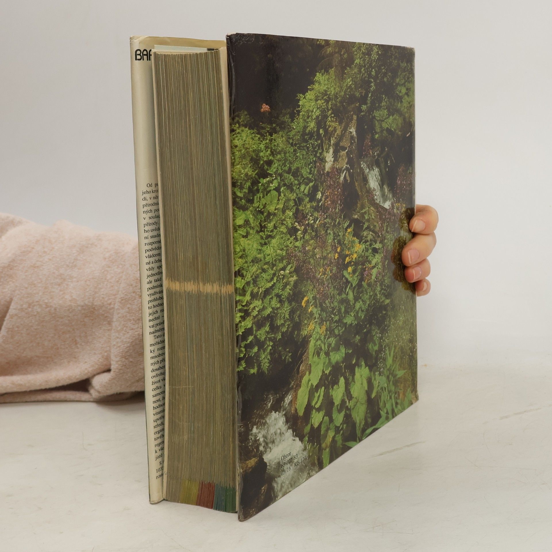Izabela Háberová Barevný atlas rostlin