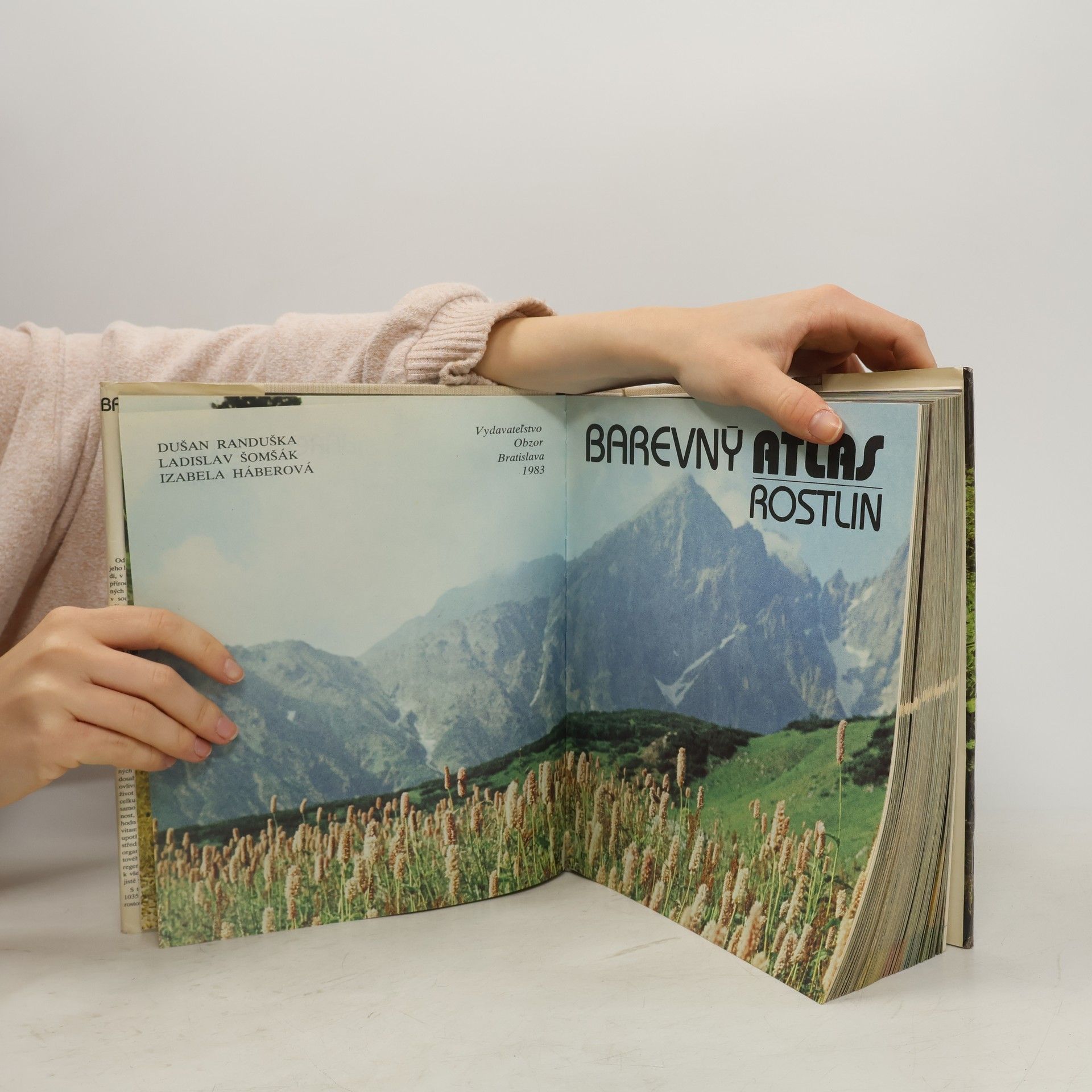 Izabela Háberová Barevný atlas rostlin