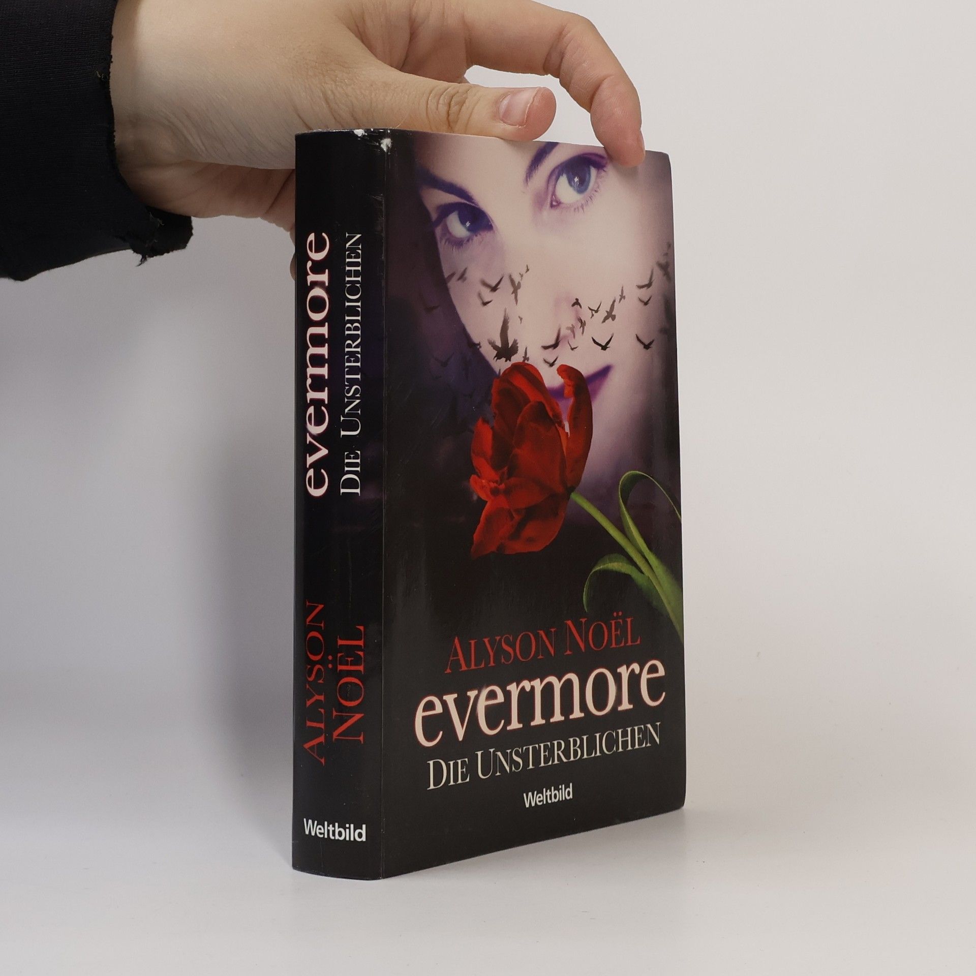 Alyson Noël Evermore, die Unsterblichen