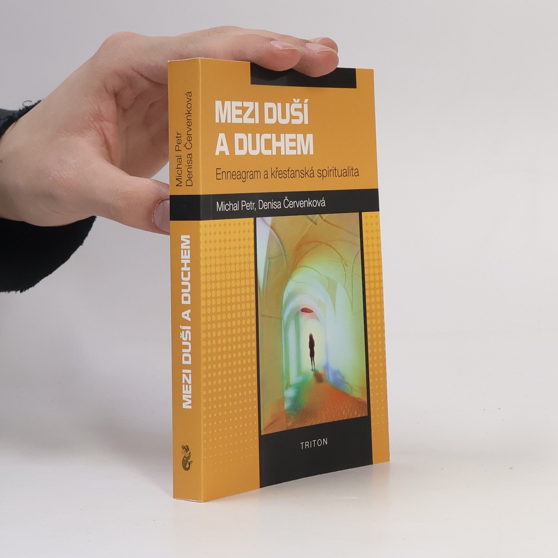 Michal Petr Mezi duší a duchem. Enneagram a křesťanská spiritualita.