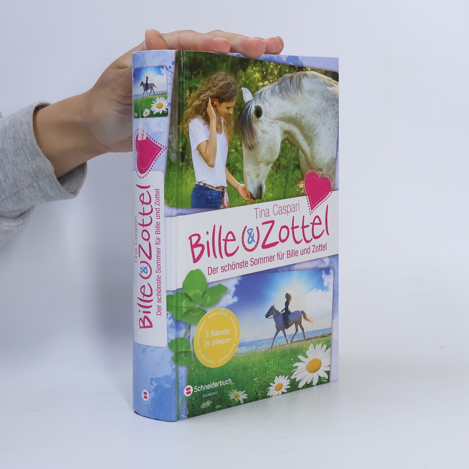 Tina Caspari Der schönste Sommer für Bille und Zottel