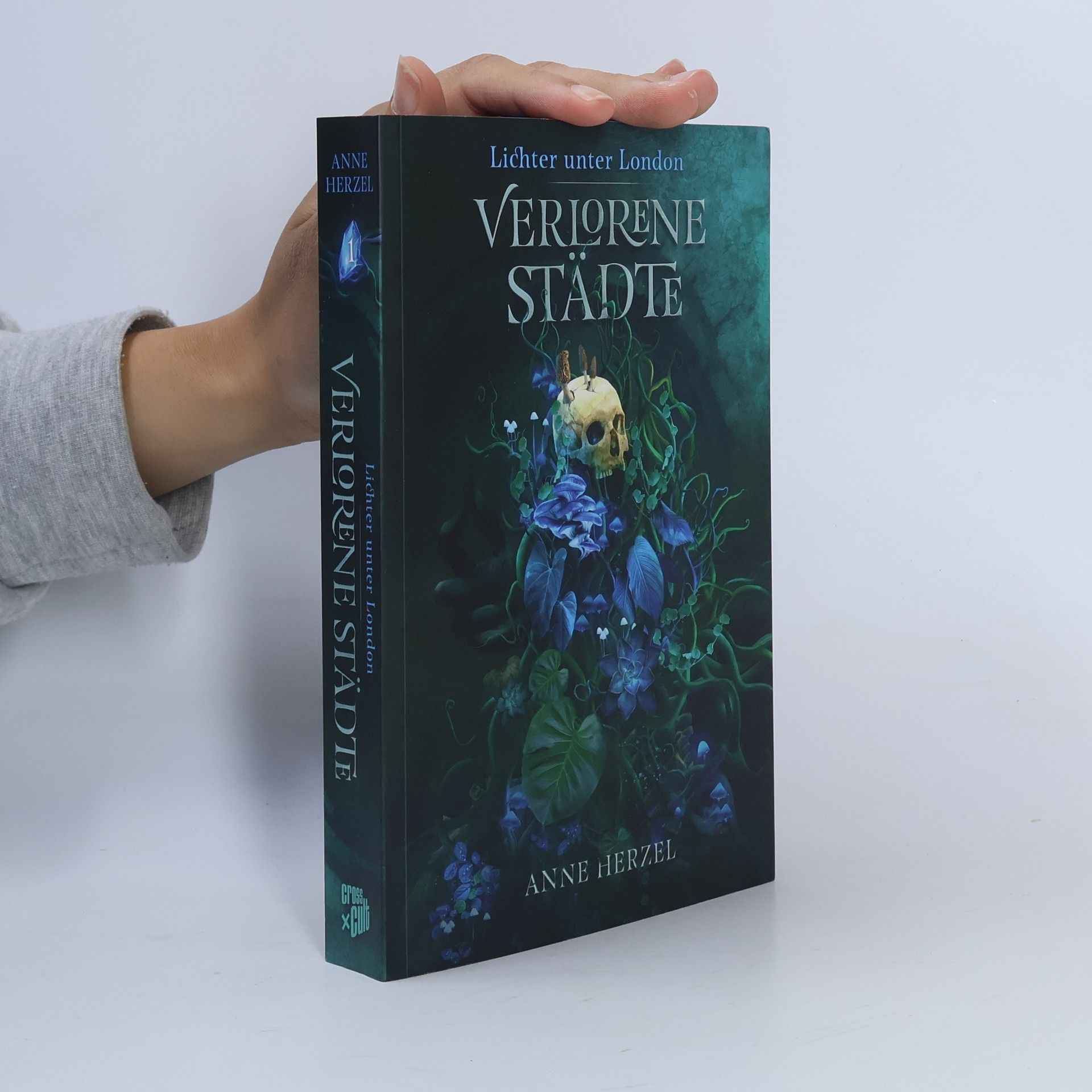 Anne Herzel Verlorene Städte