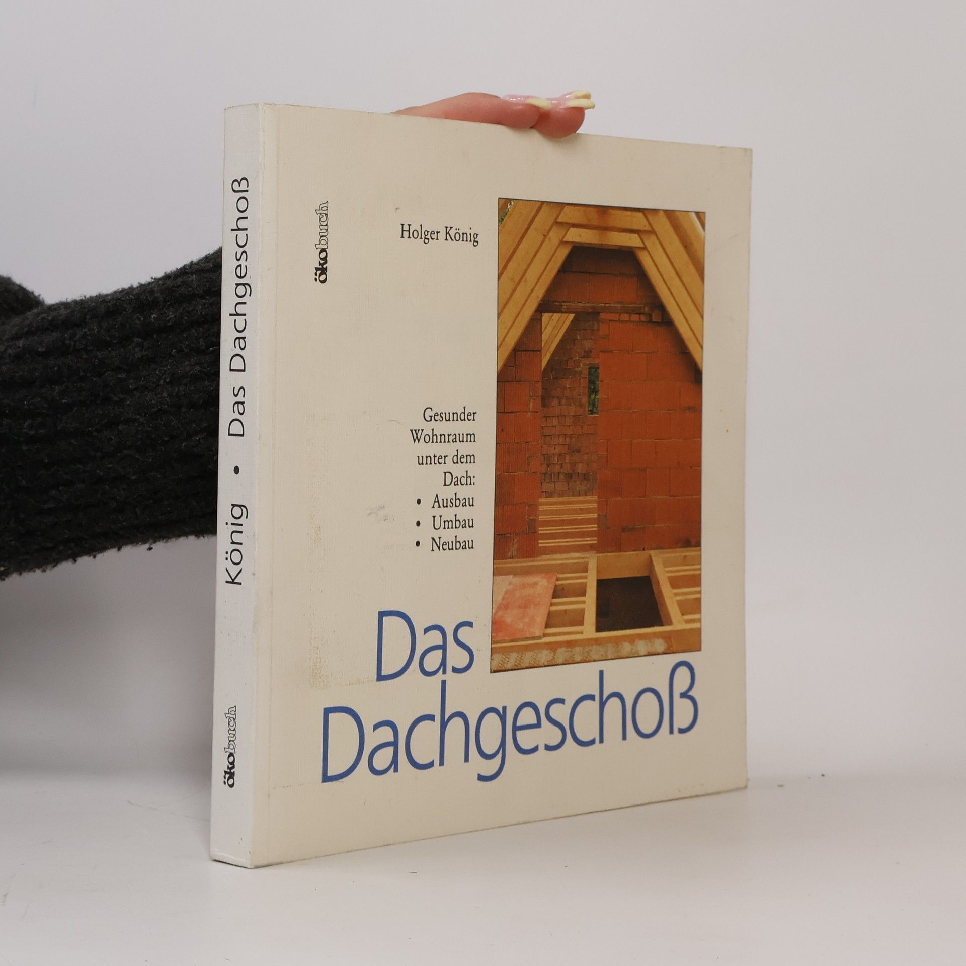 Holger König Das Dachgeschoss