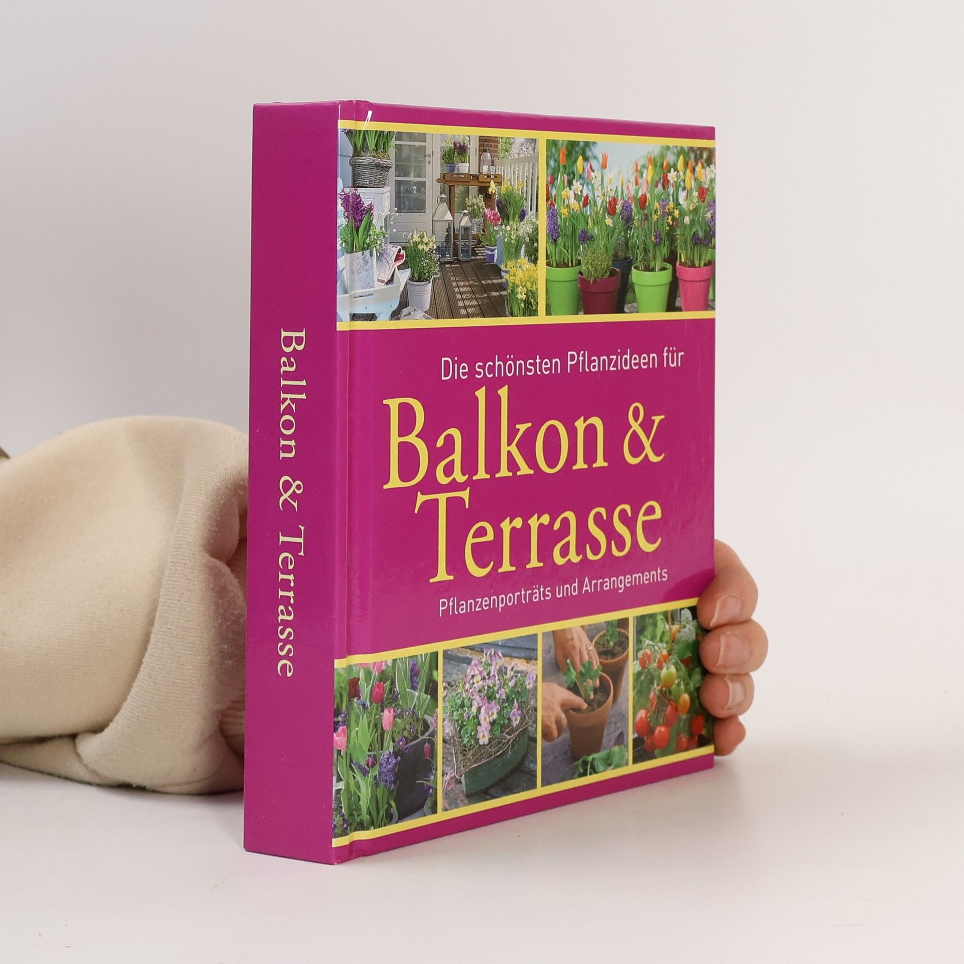 Bross-Burkhardt Brunhilde Und Christine Weidenweber Die schönsten Pflanzideen für Balkon & Terrasse Pflanzenporträts und Arrangements