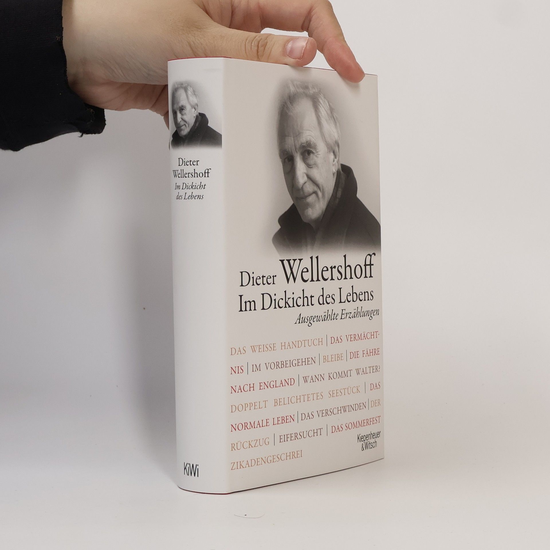 Dieter Wellershoff Im Dickicht des Lebens