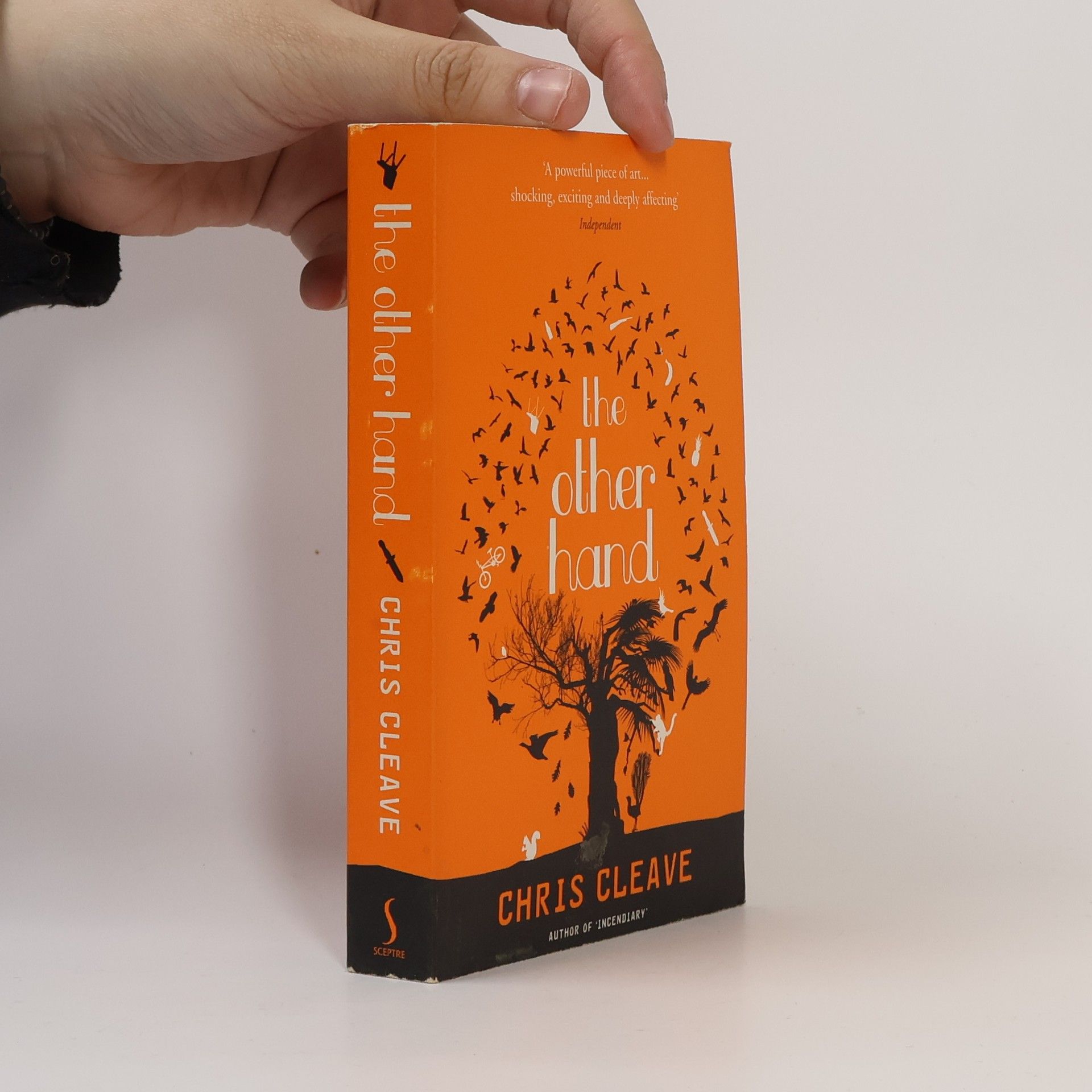 Chris Cleave The other hand