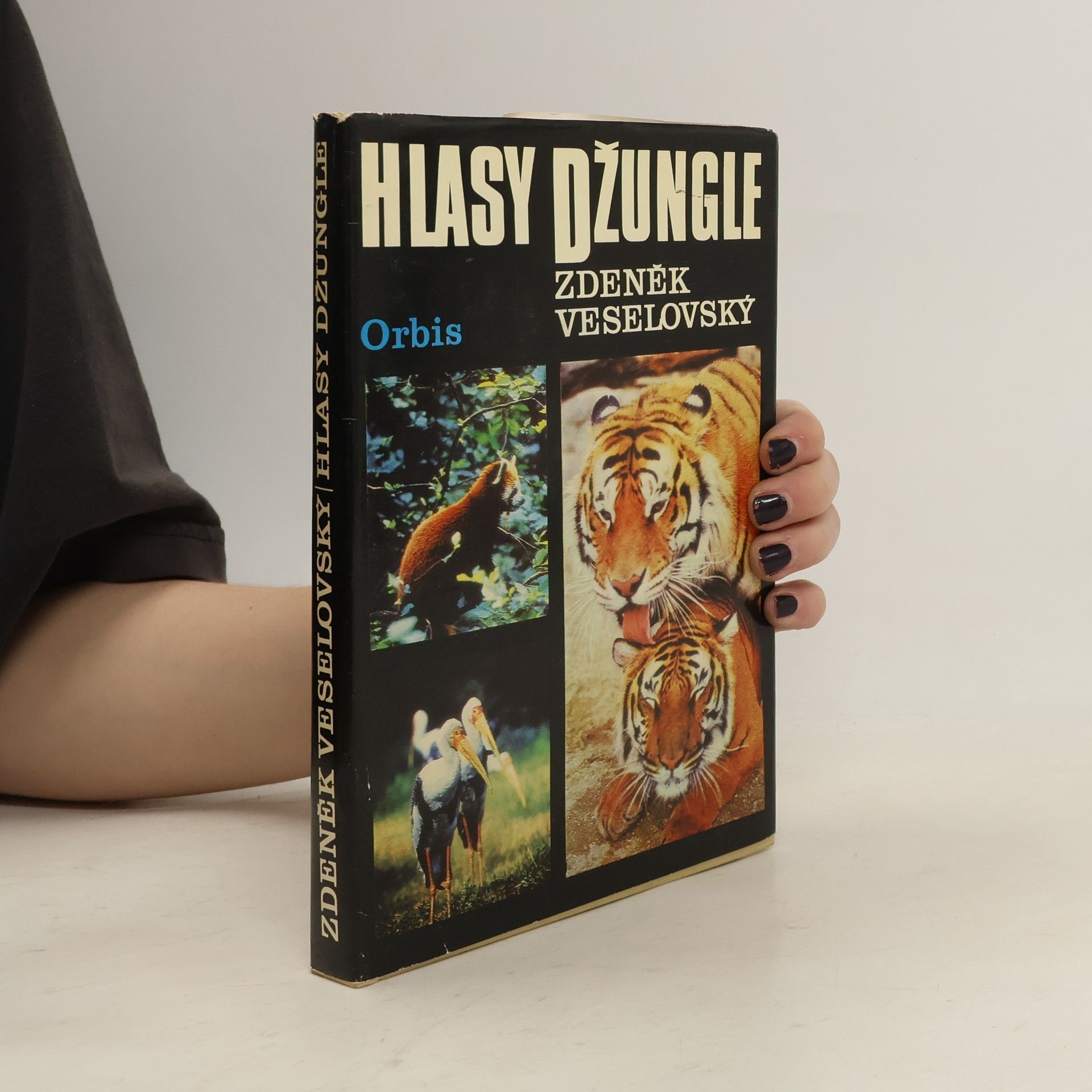 Alena Čepická Hlasy džungle