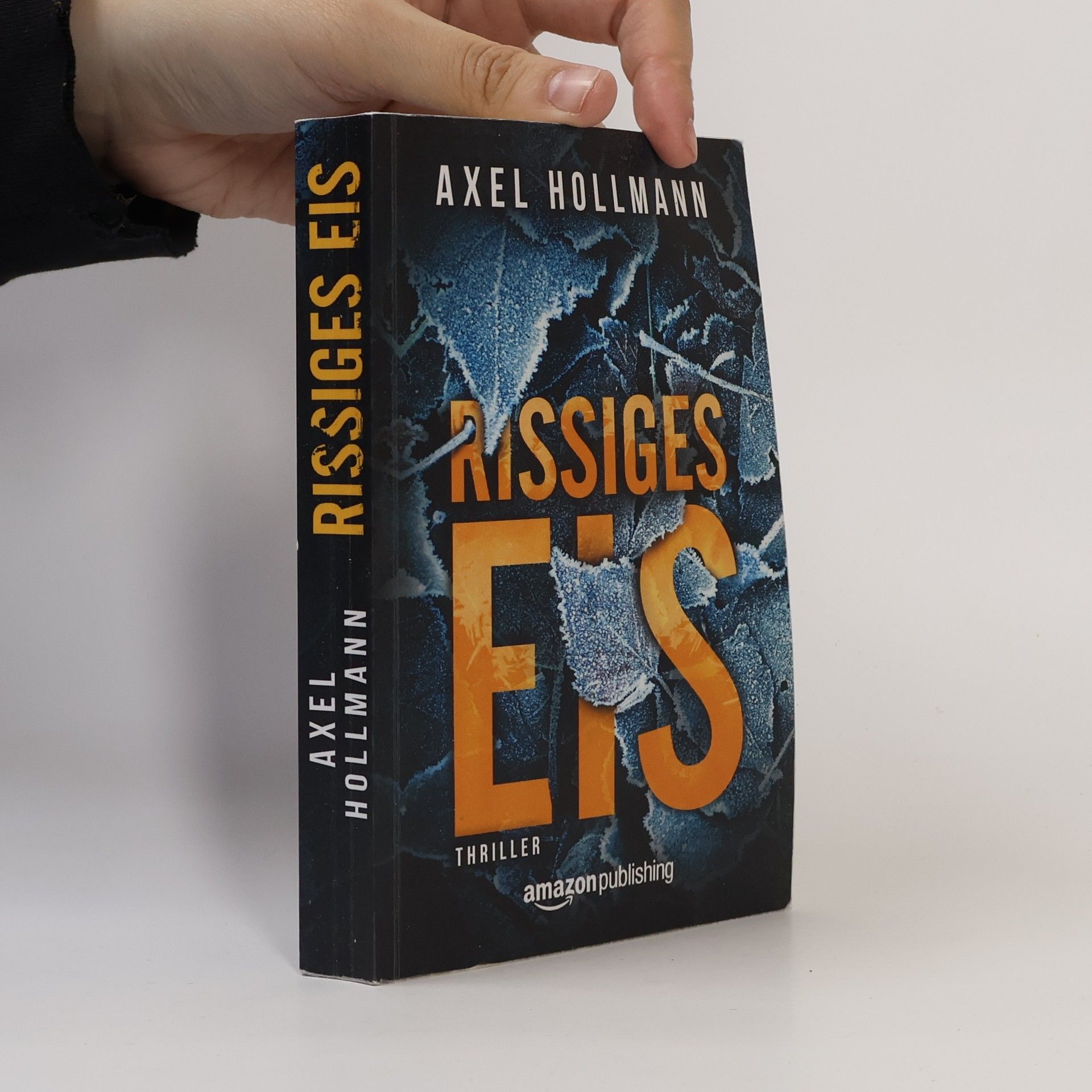 Axel Hollmann Rissiges Eis