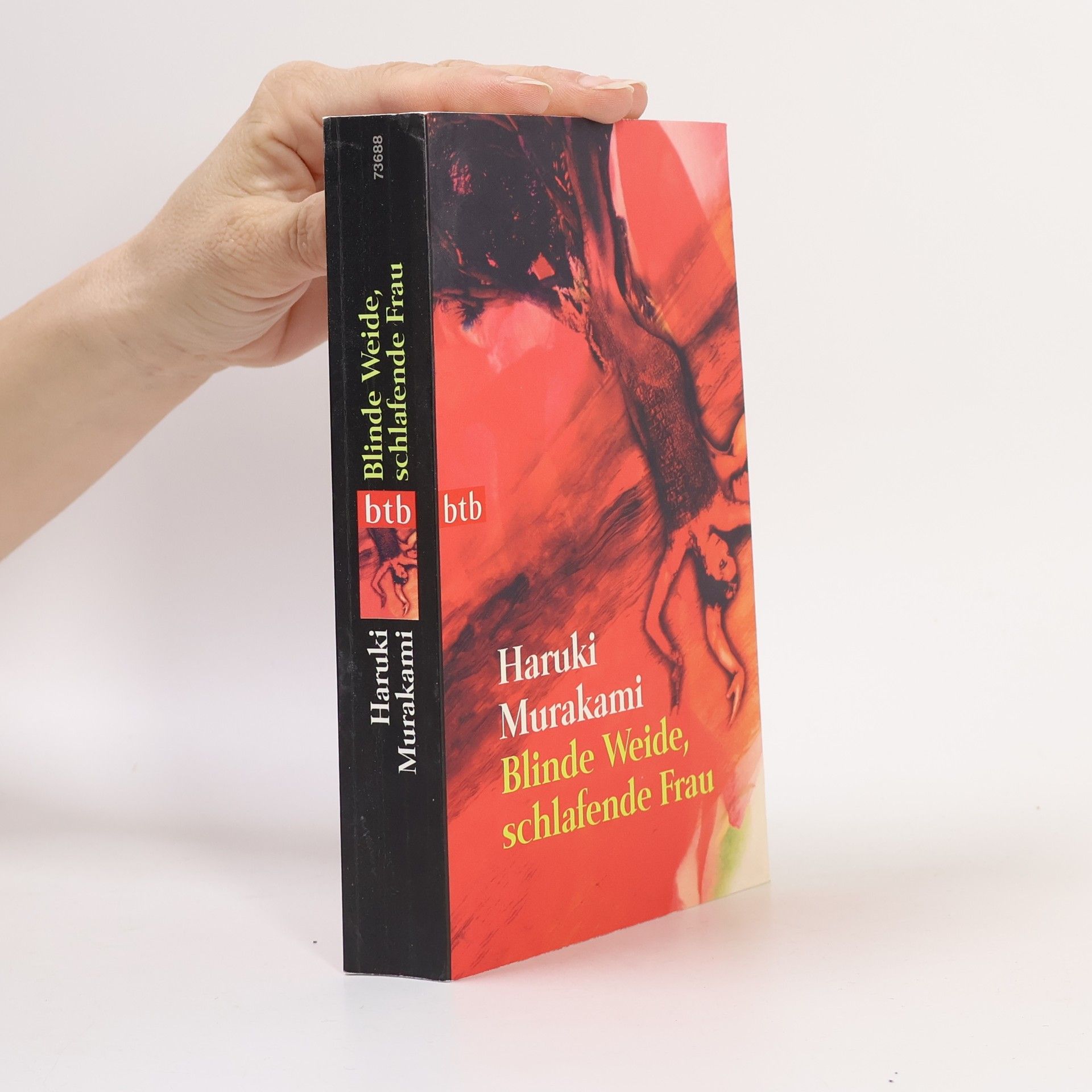 Haruki Murakami Blinde Weide, schlafende Frau