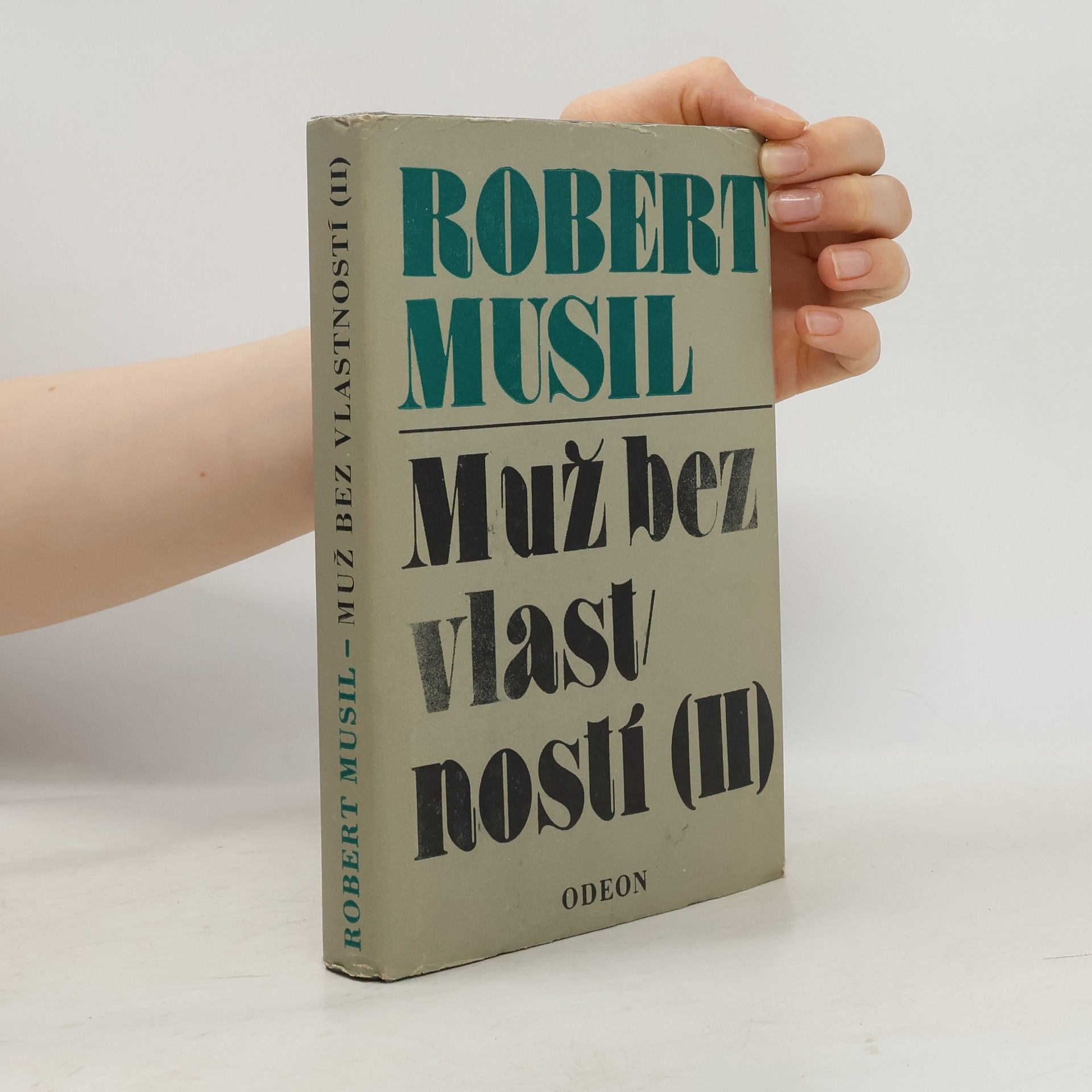 Muž bez vlastností II