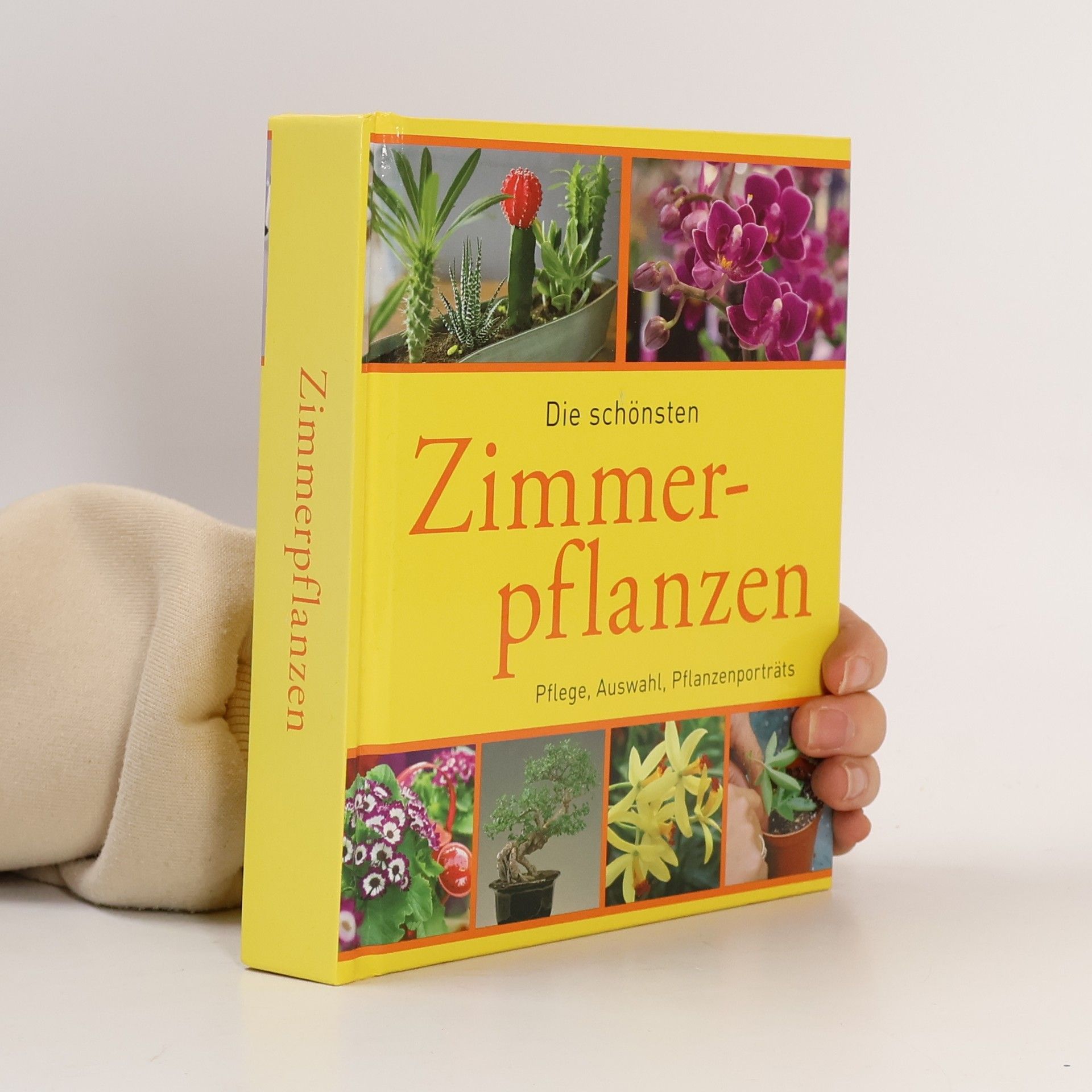 Various authors Die schönsten Zimmerpflanzen