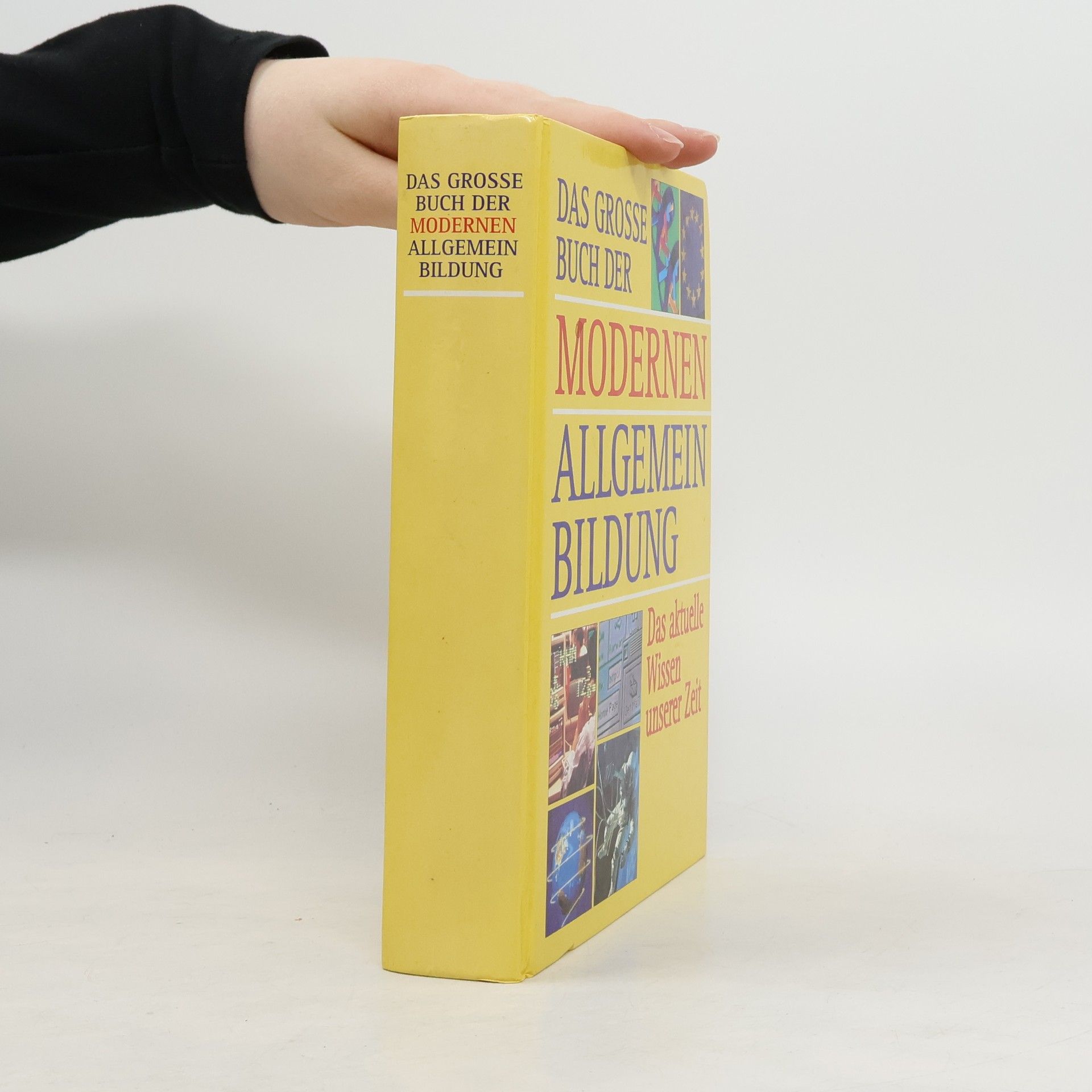 Das große Buch der modernen Allgemeinbildung