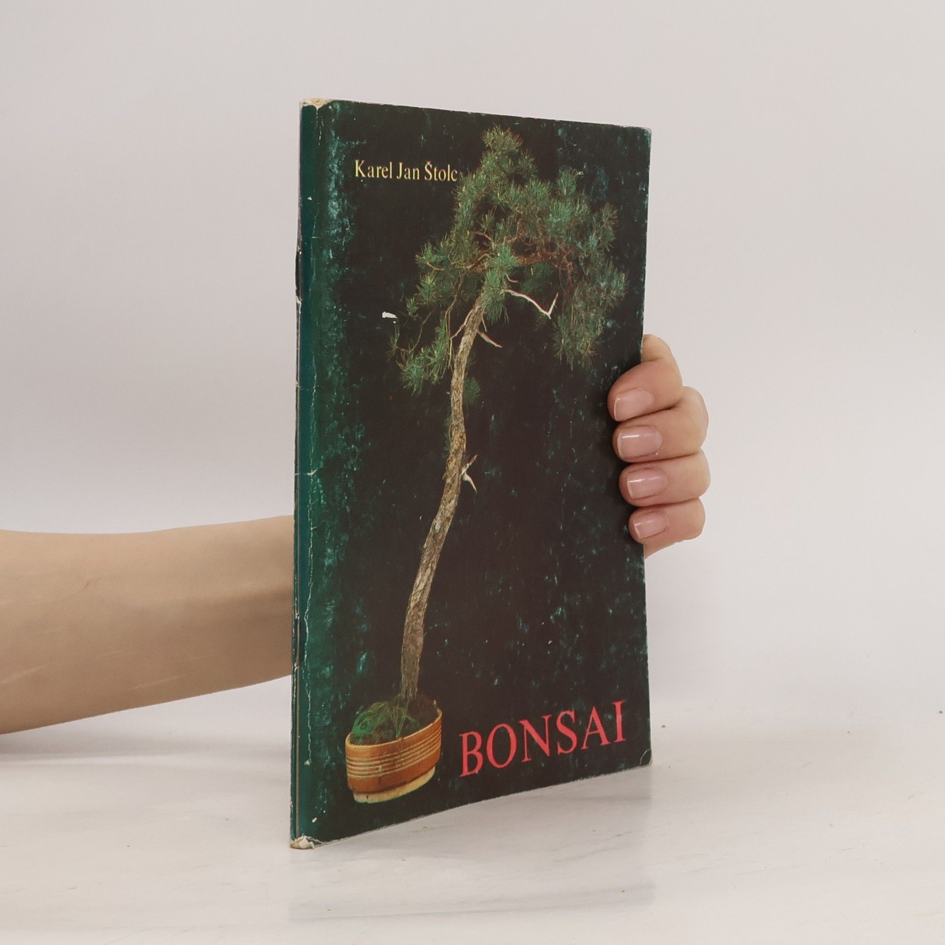 Karel Jan Štolc Bonsai