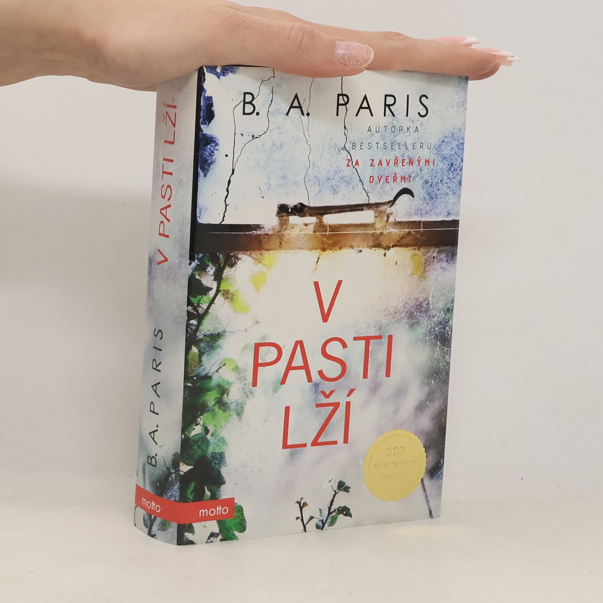 B. A. Paris V pasti lží