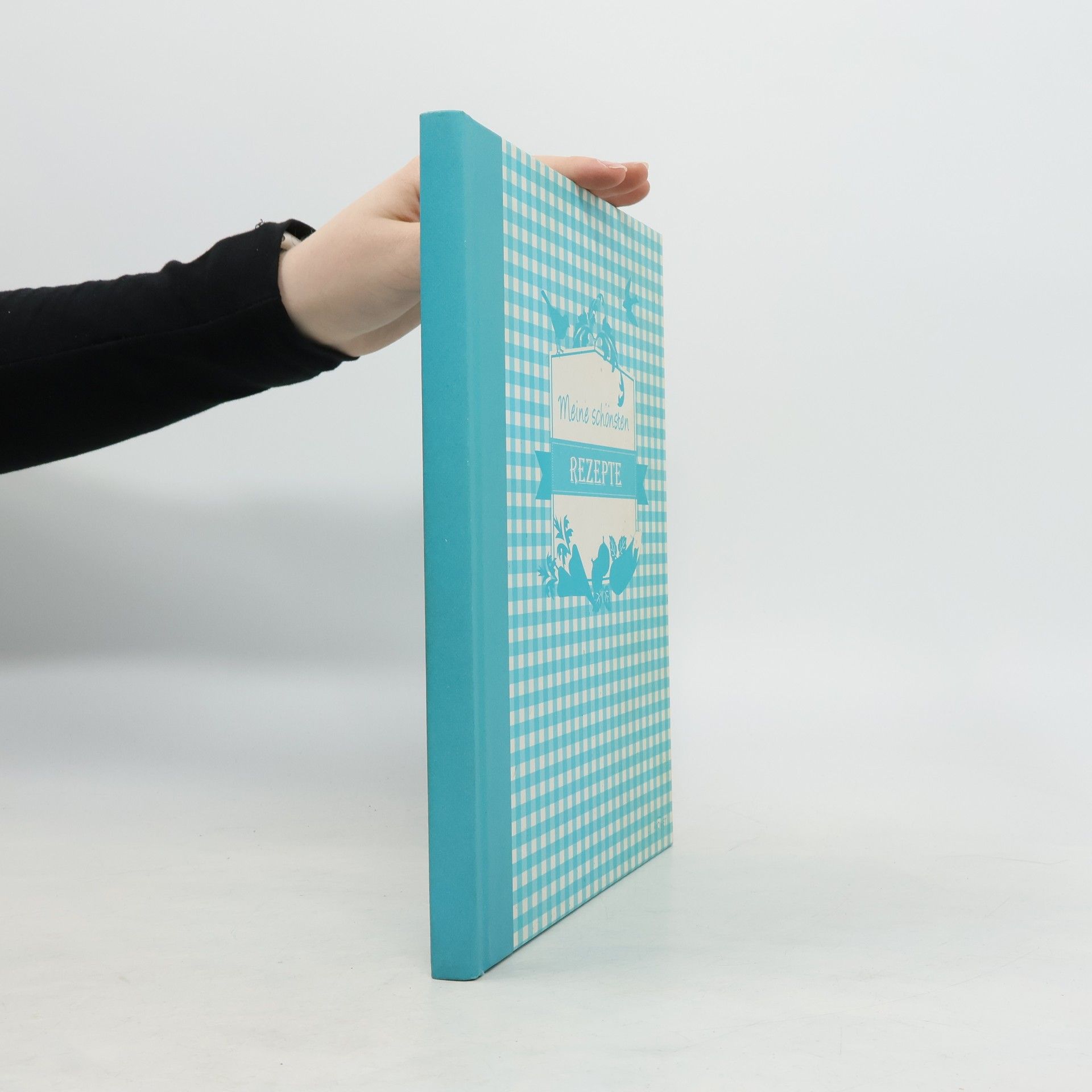 Kolektiv autorů Meine schönsten Rezepte