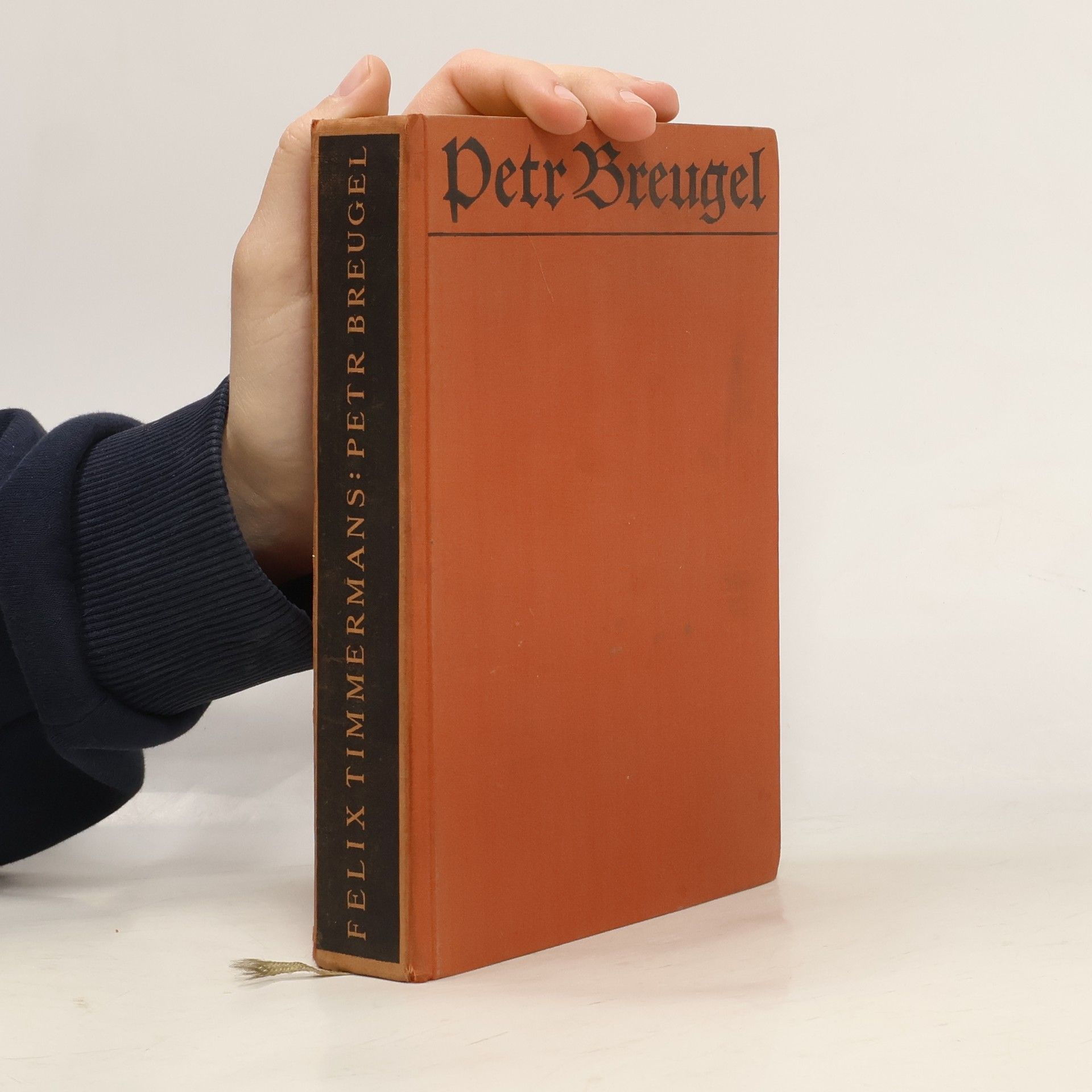 Felix Timmermans Petr Bruegel