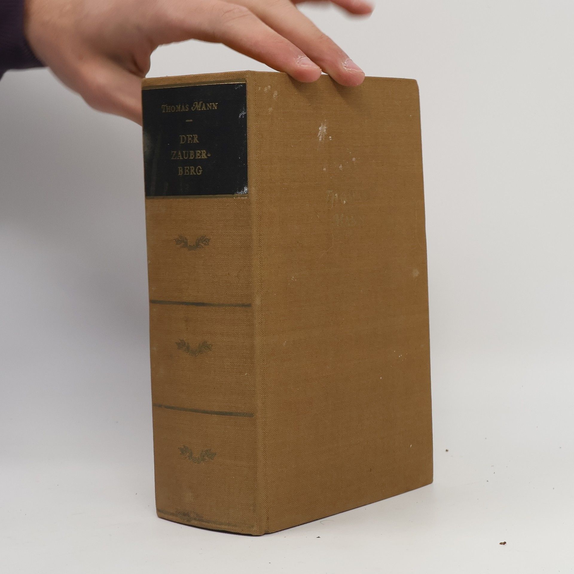 Thomas Mann Der Zauberberg
