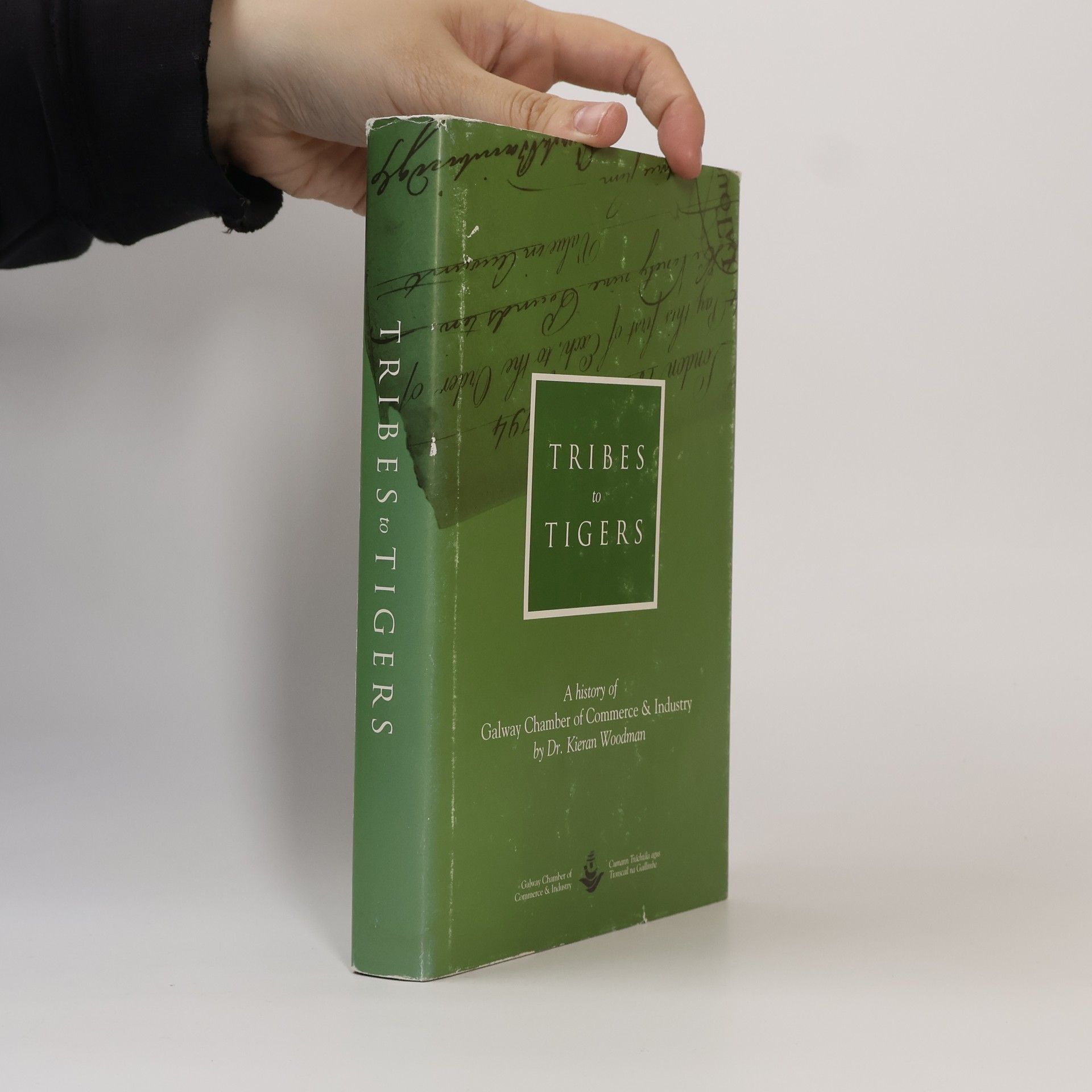 Dr. Kieran Woodman Tribes to Tigers