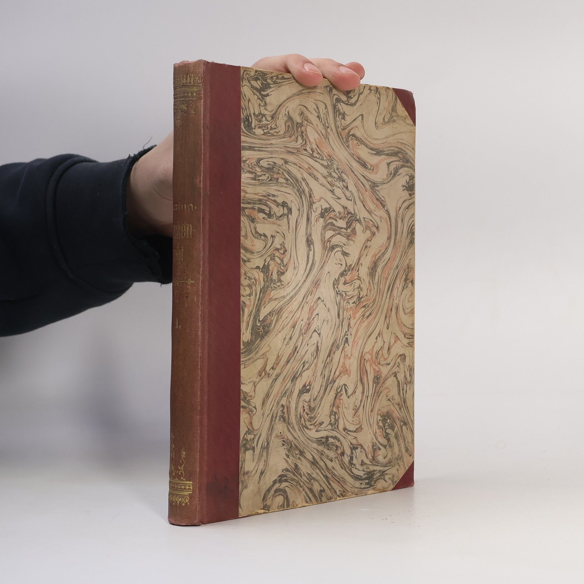 Johann B. Haring Grundzüge des katholischen Kirchenrechtes