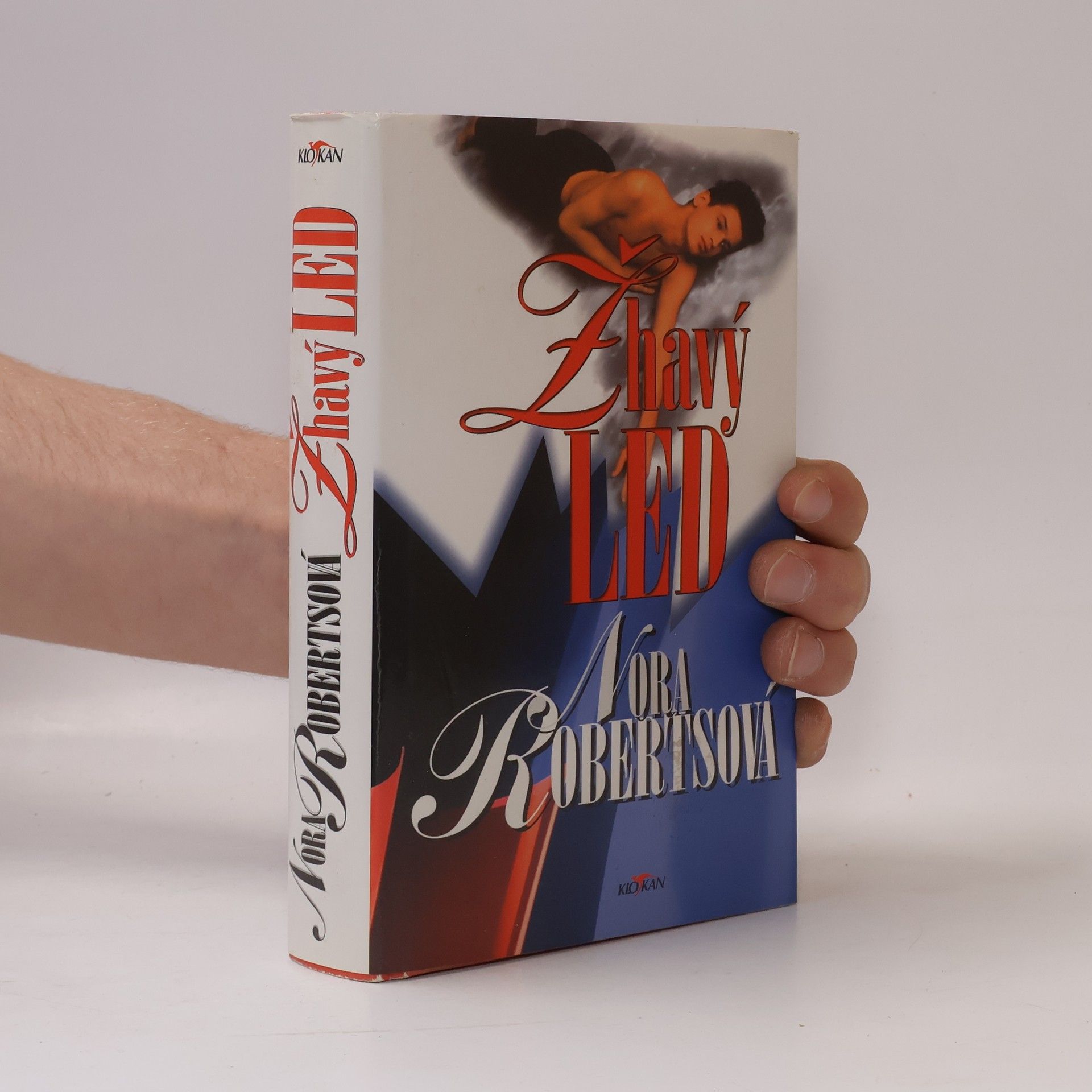 Nora Roberts Žhavý led