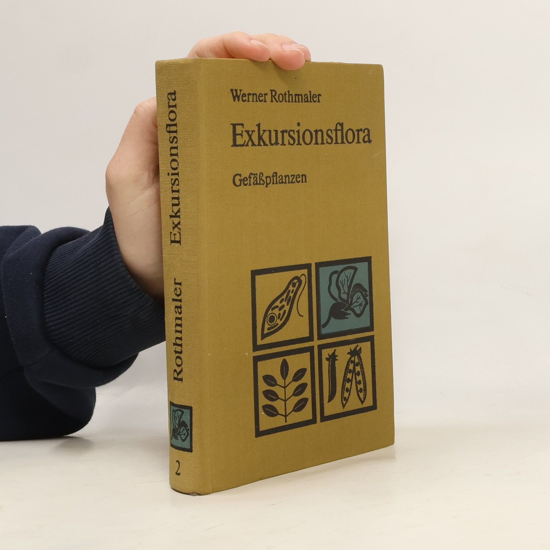 Werner Rothmaler Exkursionsflora für die Gebiete der DDR und der BRD 2