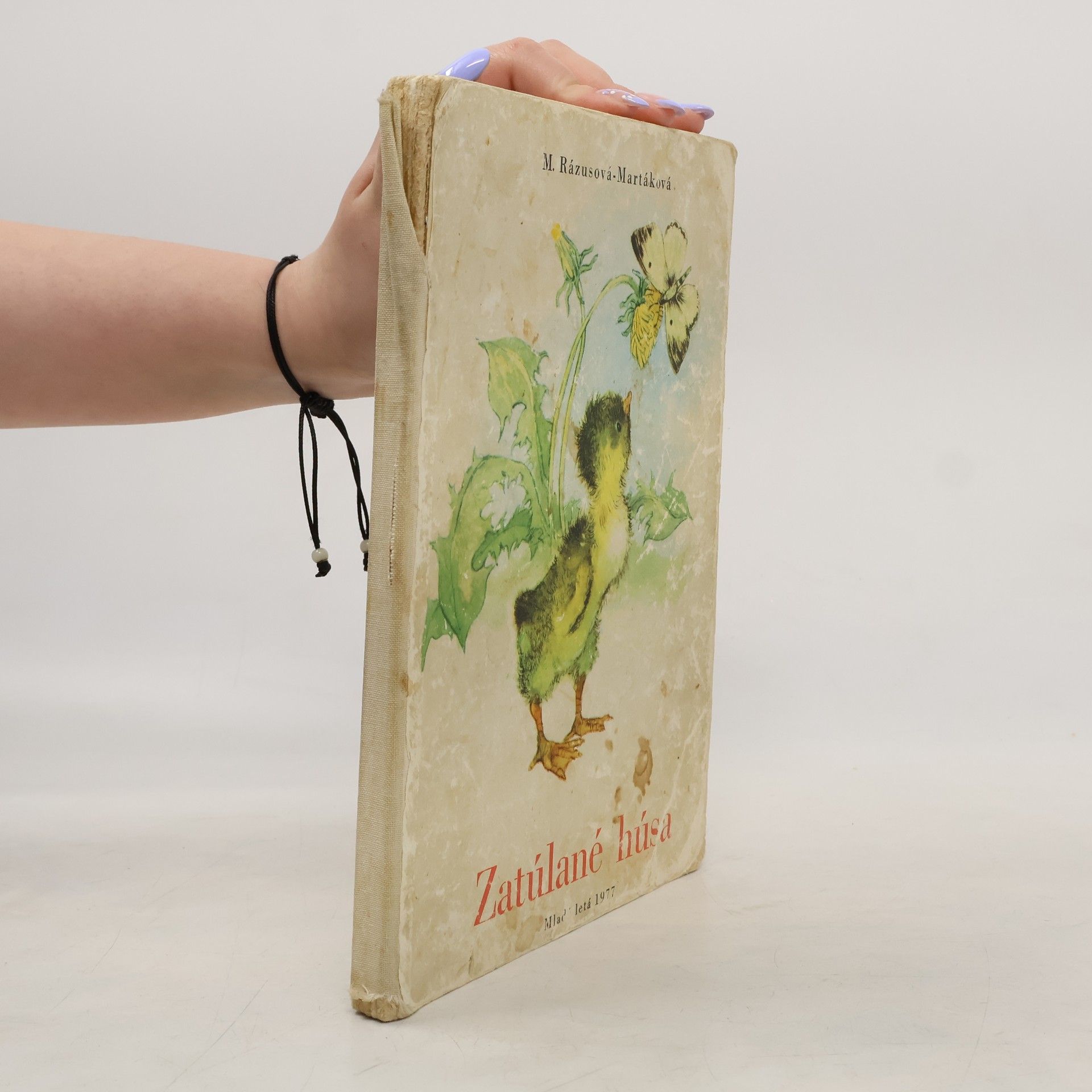 Mária Rázusová Martáková Zatúlané húsa