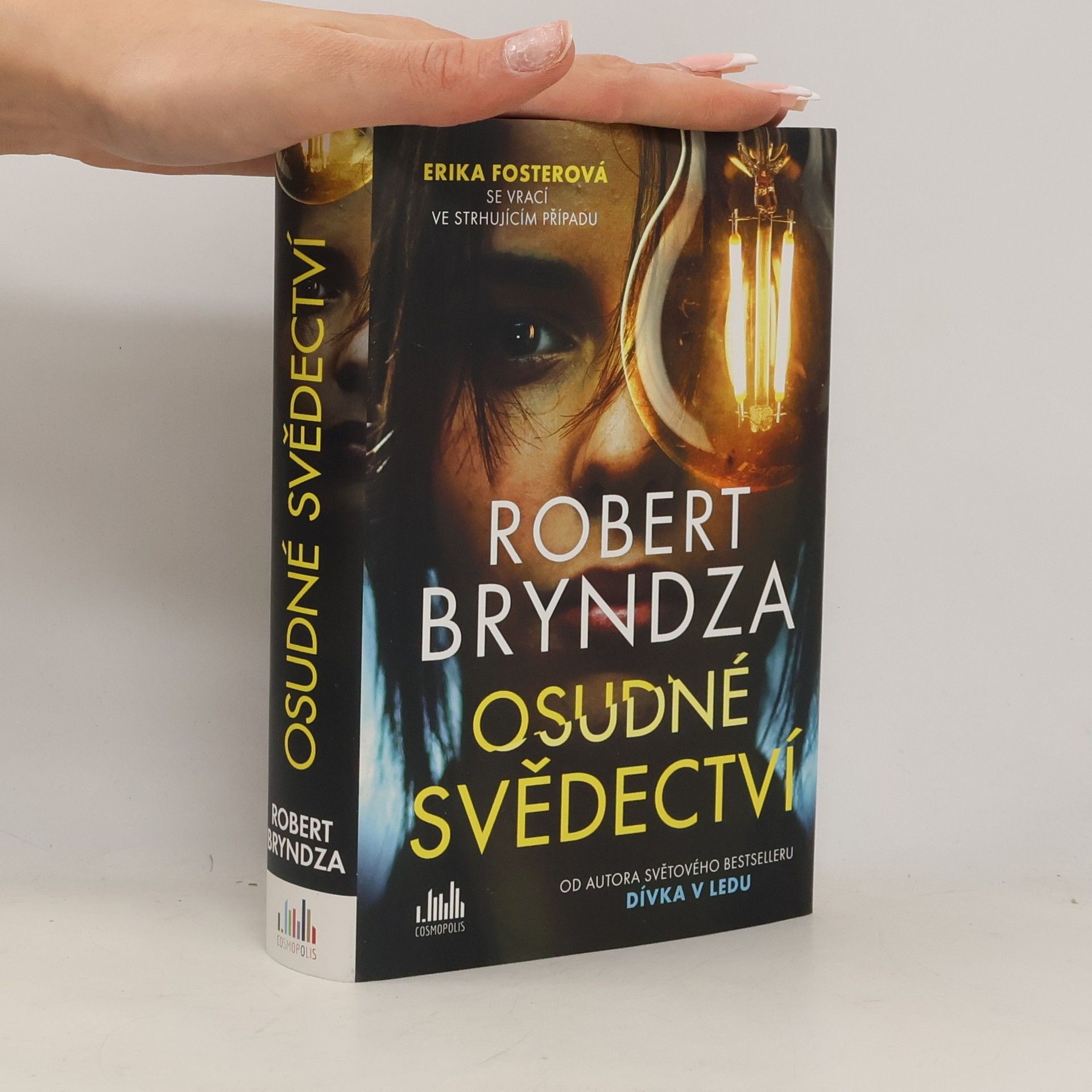 Robert Bryndza Osudné svědectví