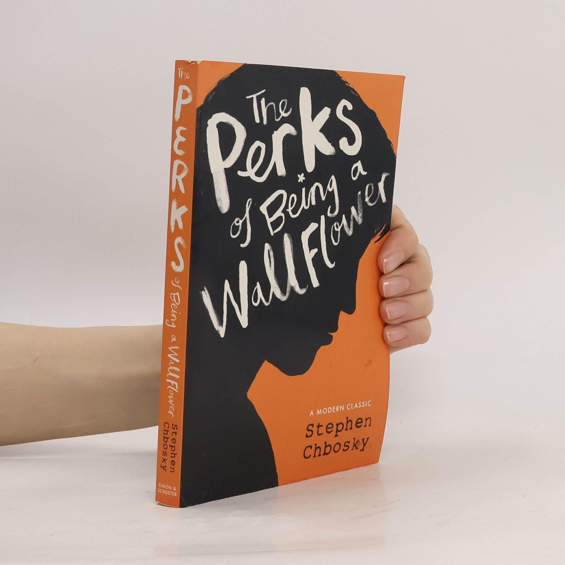 Stephen Chbosky The Perks of Being a Wallflower