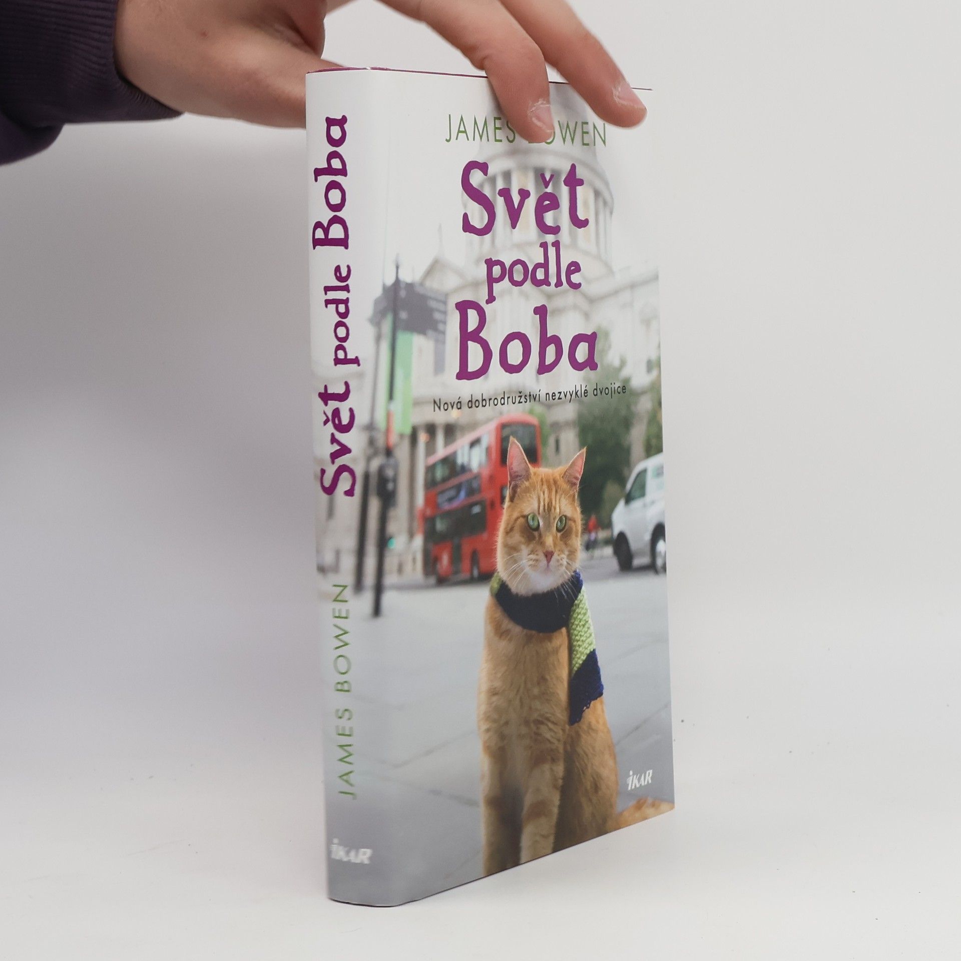 James Bowen Svět podle Boba